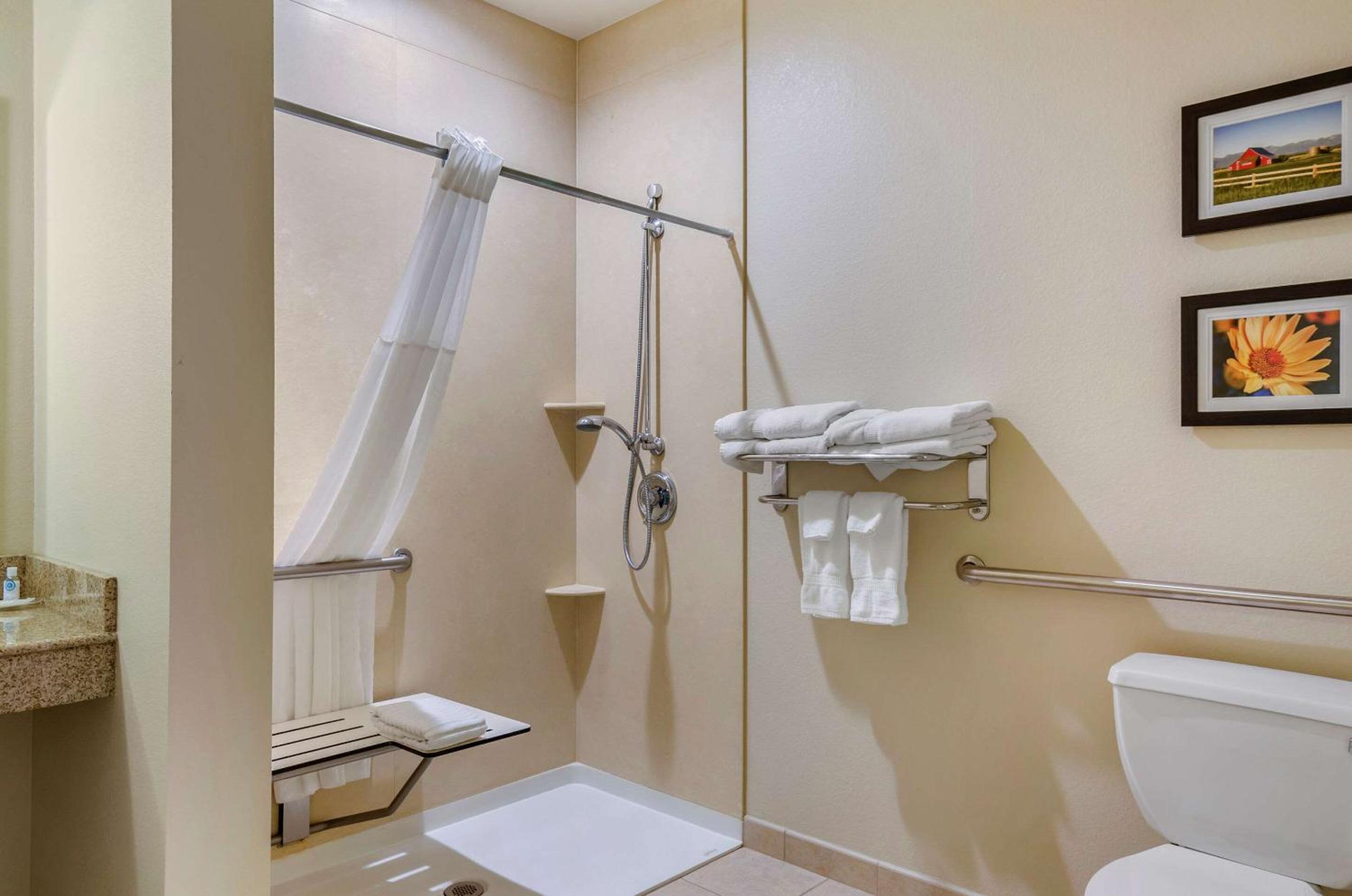 Standard King Suite with Transfer Shower - Accessible/Non-Smoking - Photo 4