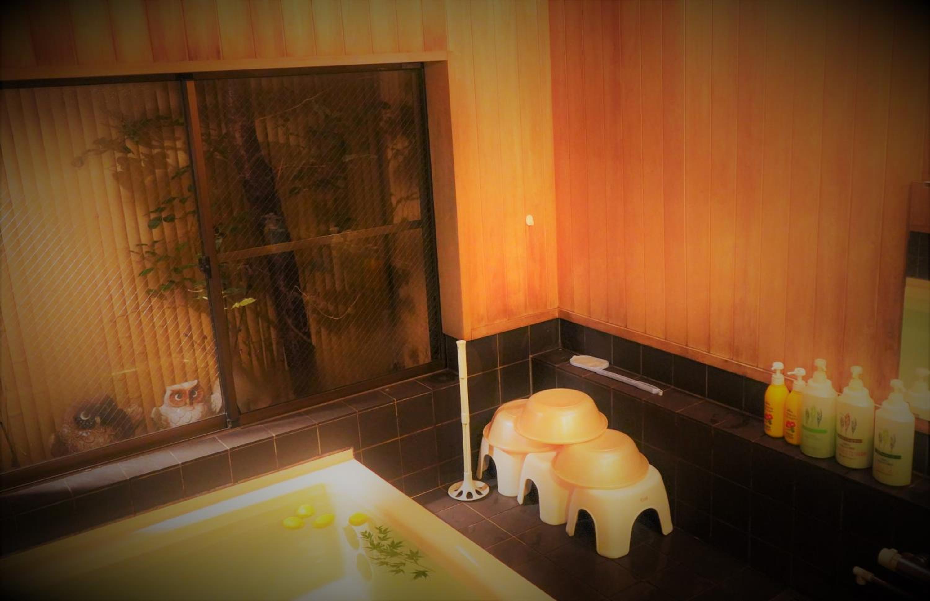 Japanese-Style Single Room with Private Bathroom - Non-Smoking photo 2