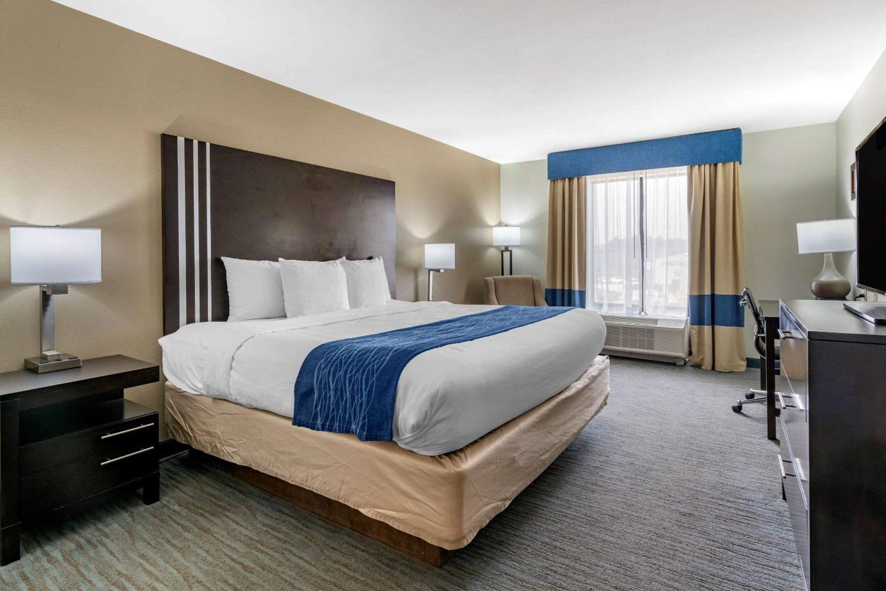 King Room photo 1