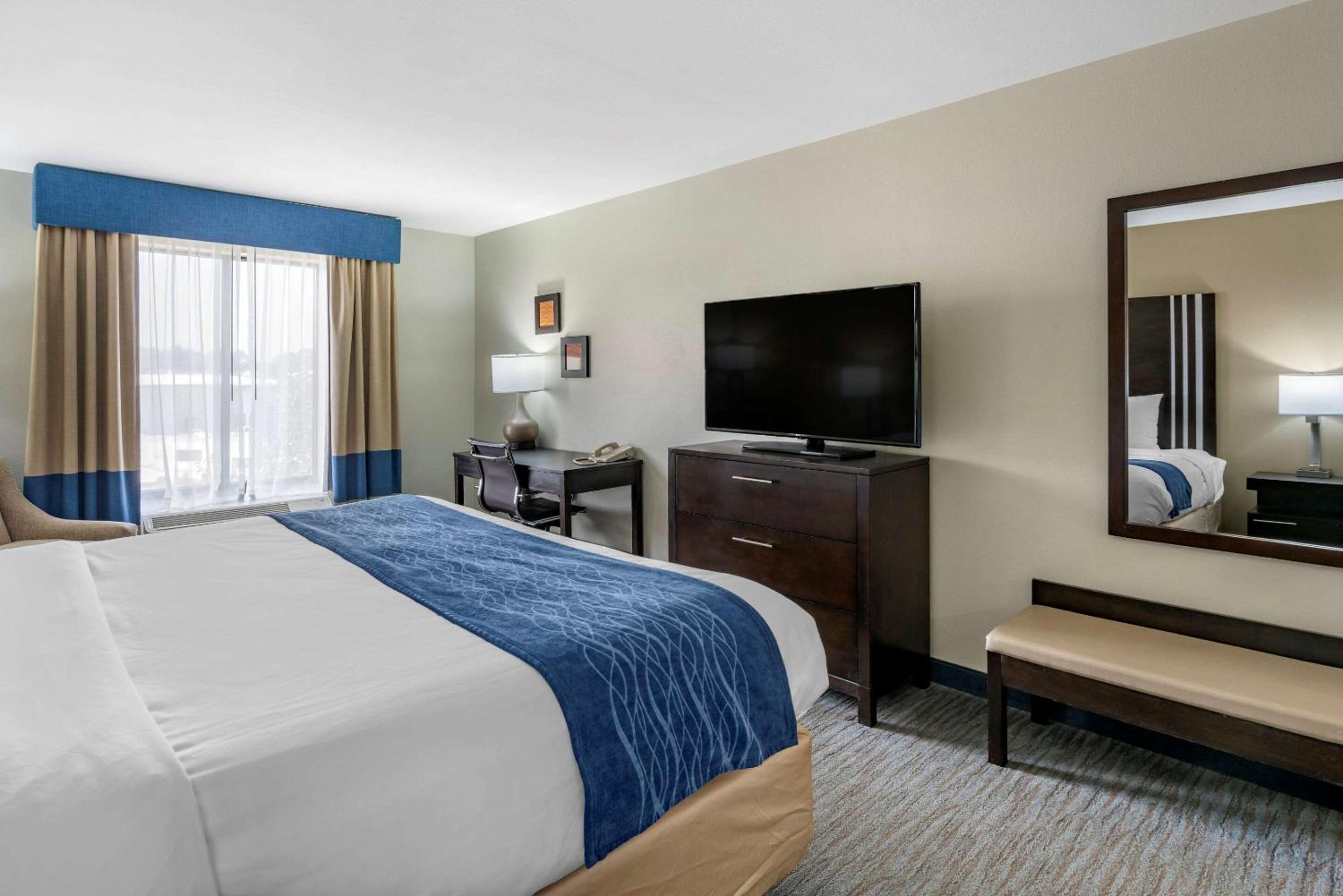 King Room photo 3