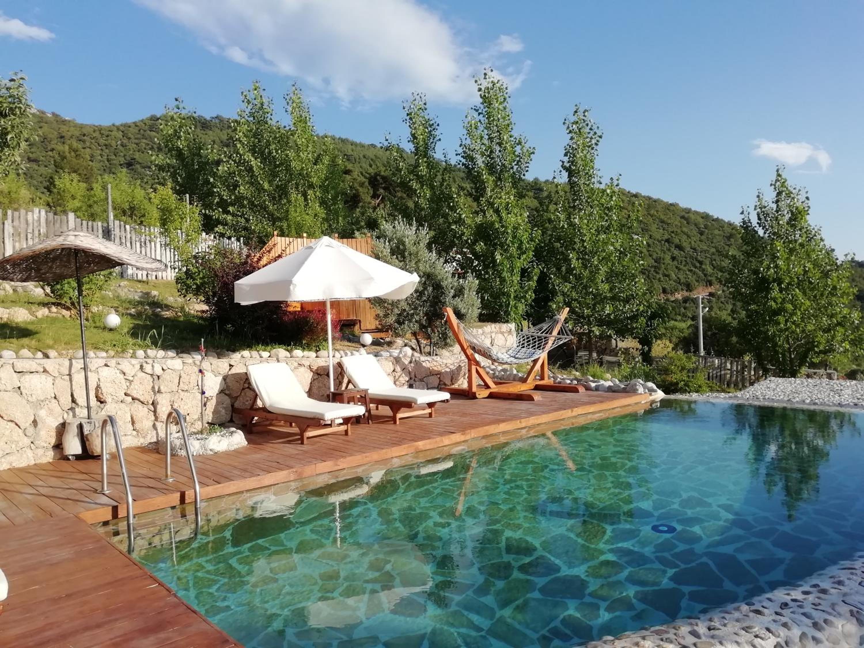 Vacation Home photo 3