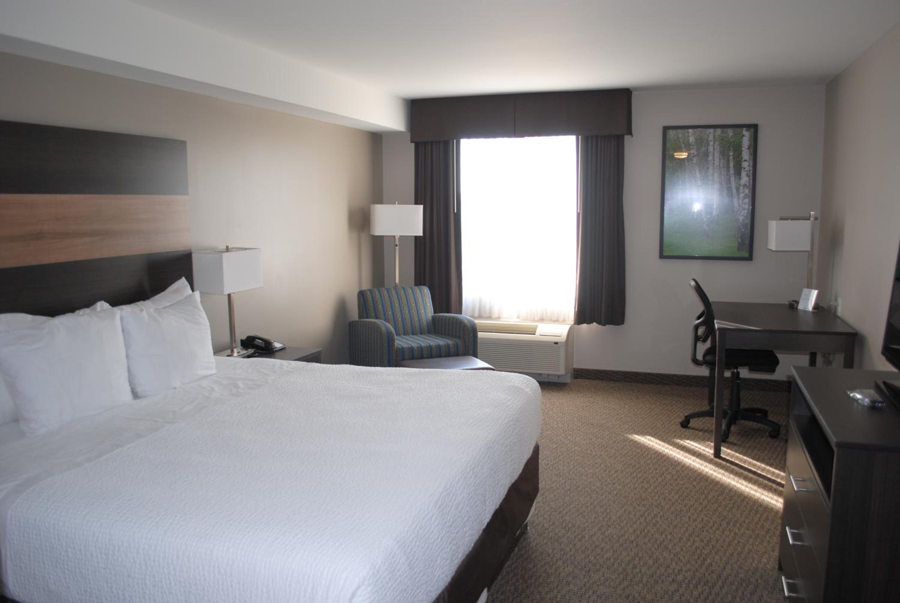 King Room - Non-Smoking