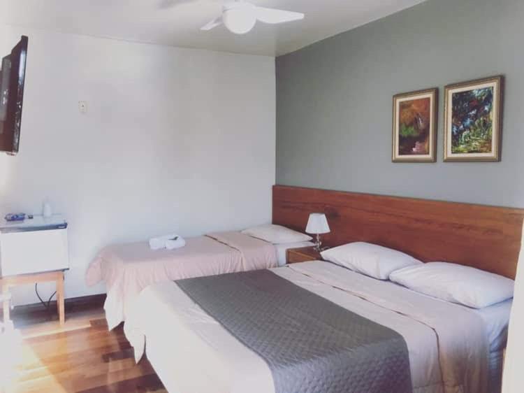 Double or Twin Room photo 3