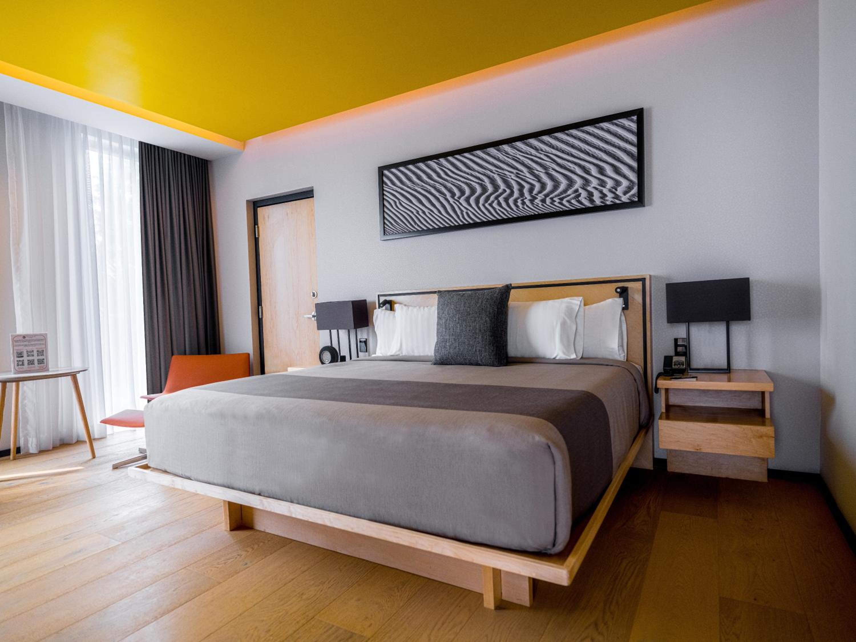 Suite - Photo 3