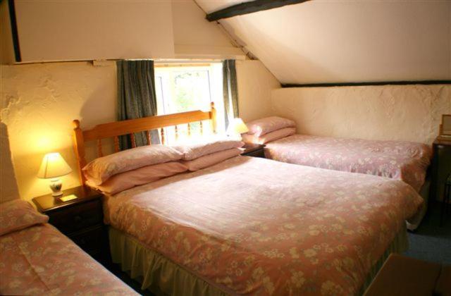 小一卧室小屋