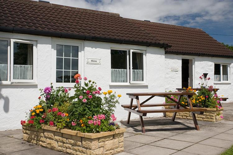 Two-Bedroom Cottage with Garden View photo 3