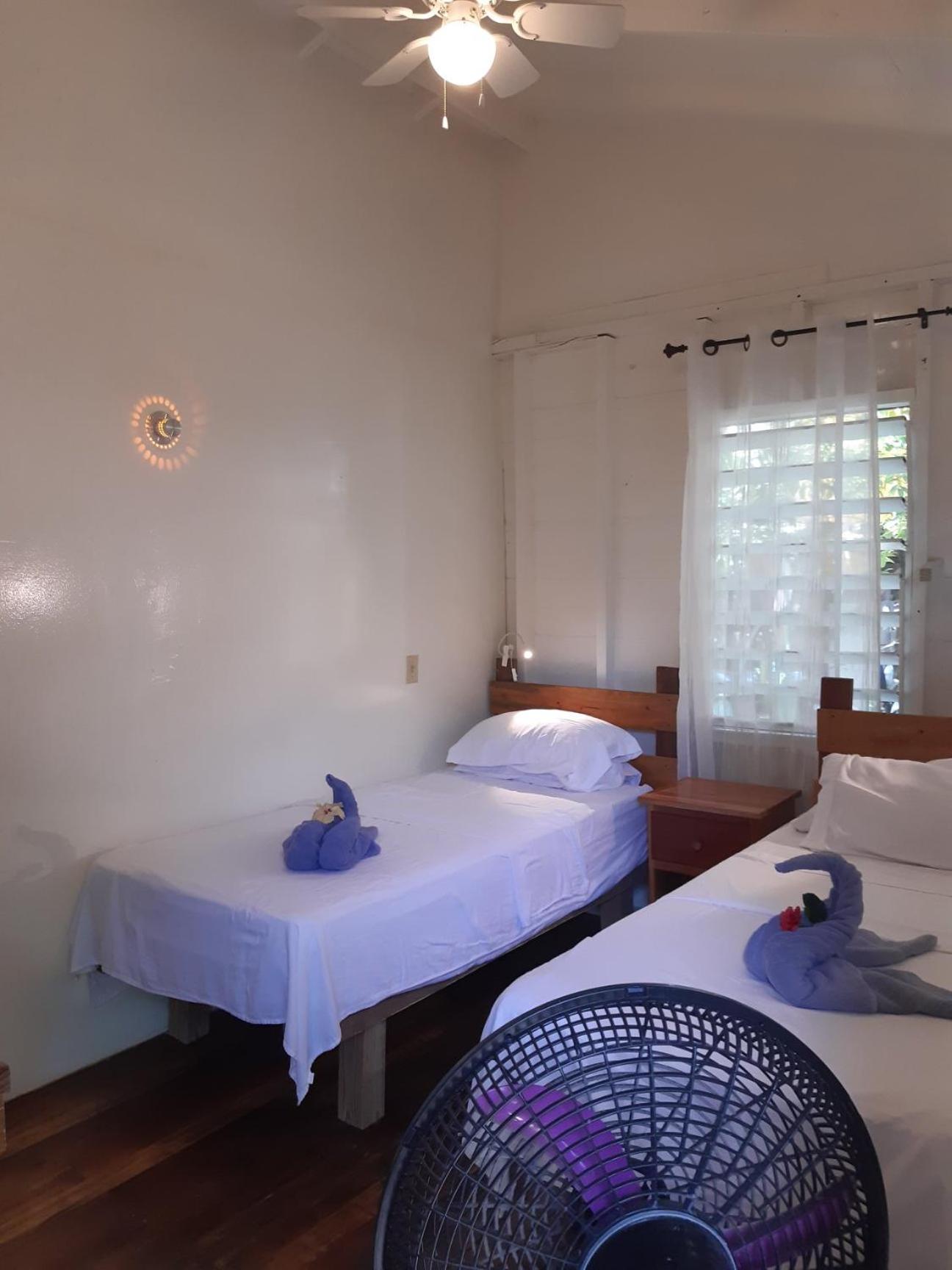 Twin Room with Shared Bathroom photo 1