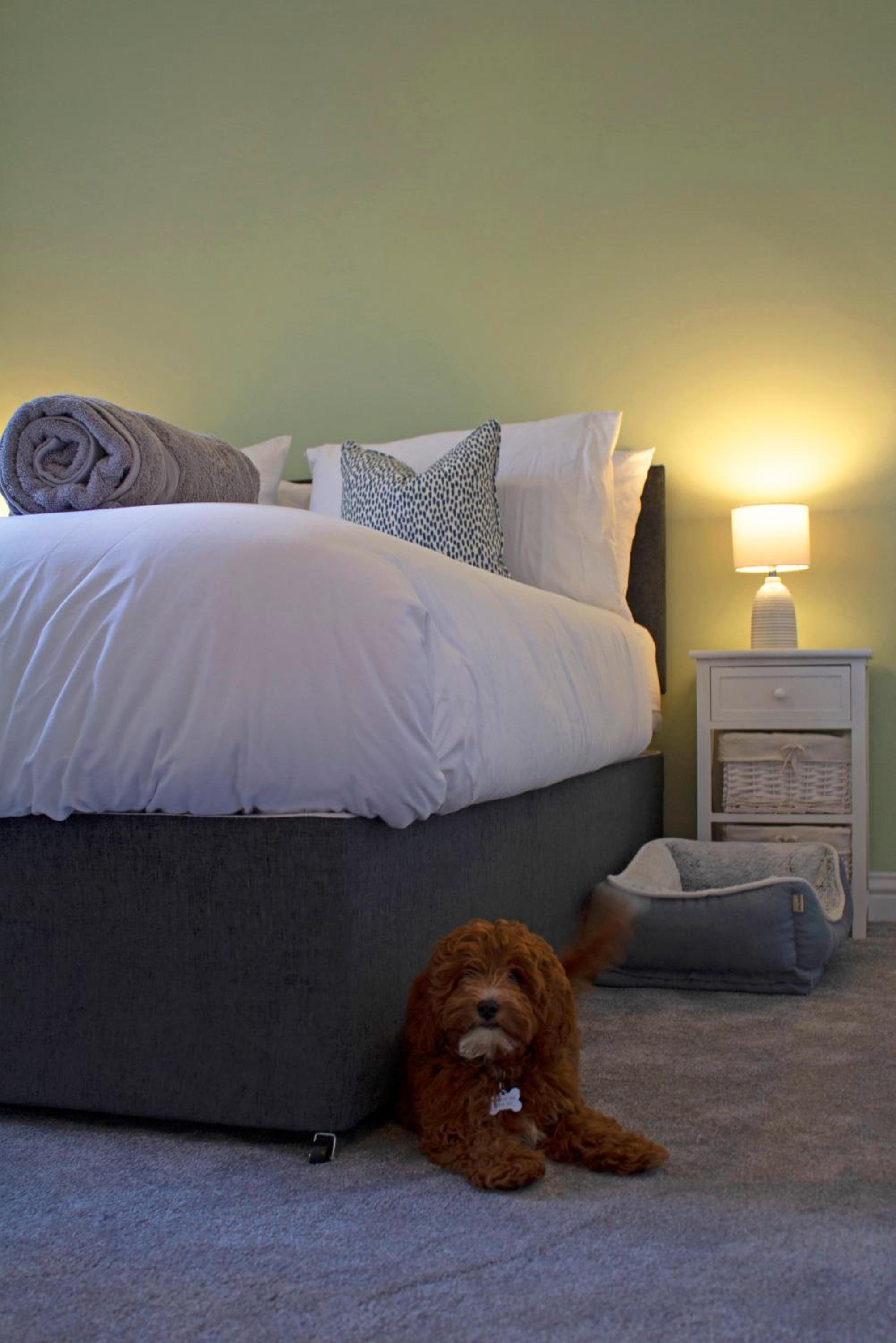 Deluxe Double or Twin Room with Garden View - Photo 1