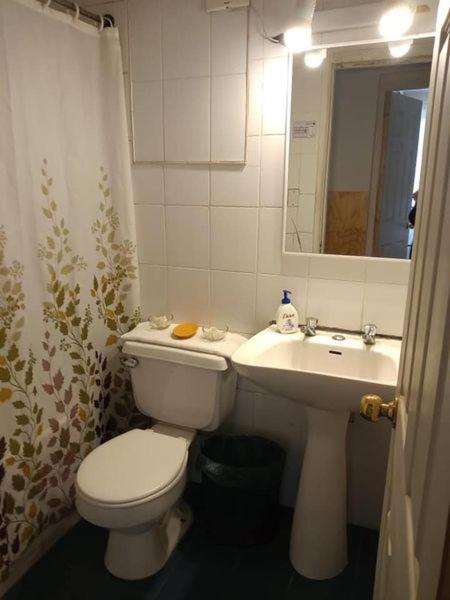Economy Twin Room photo 2