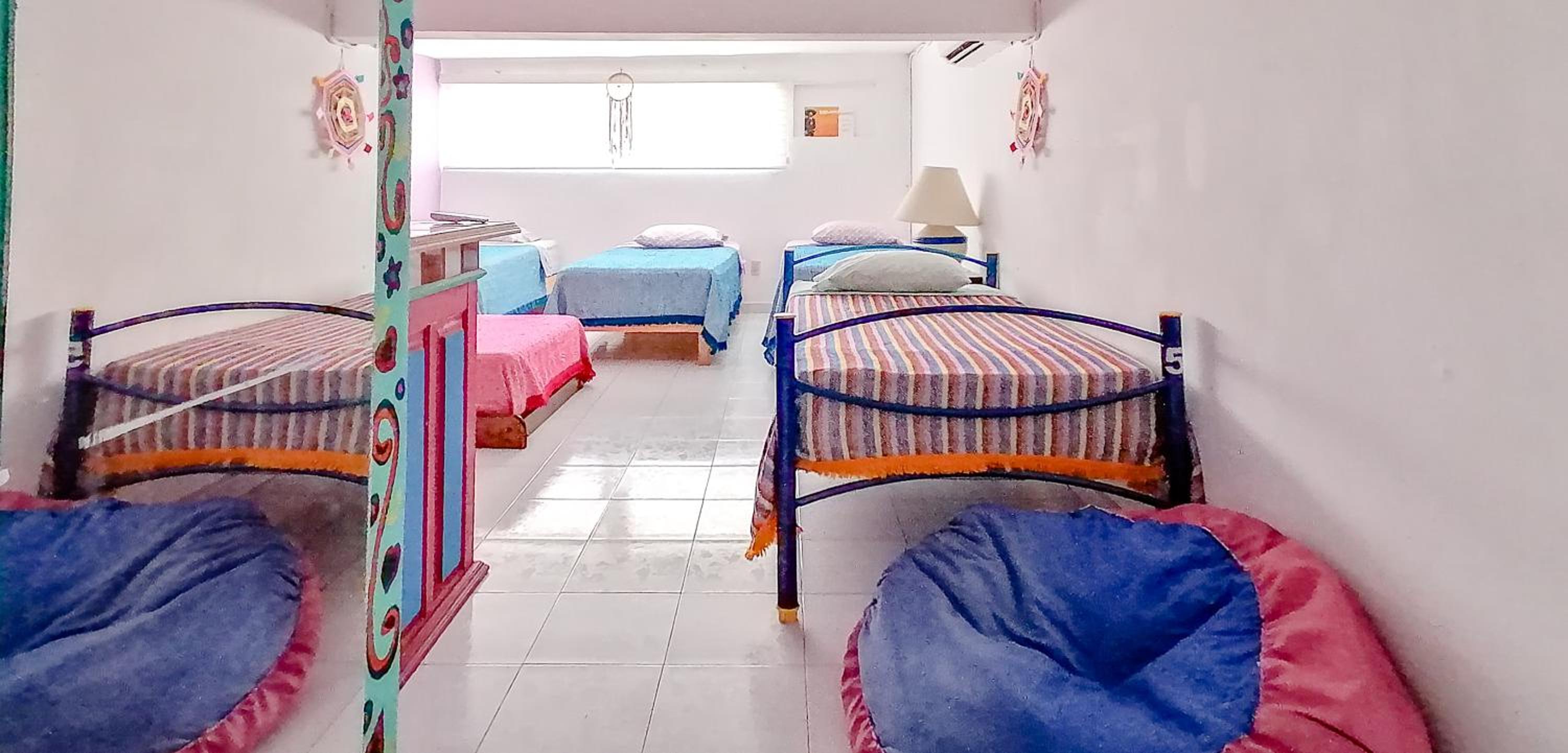 Single Bed in Female Dormitory Room photo 3