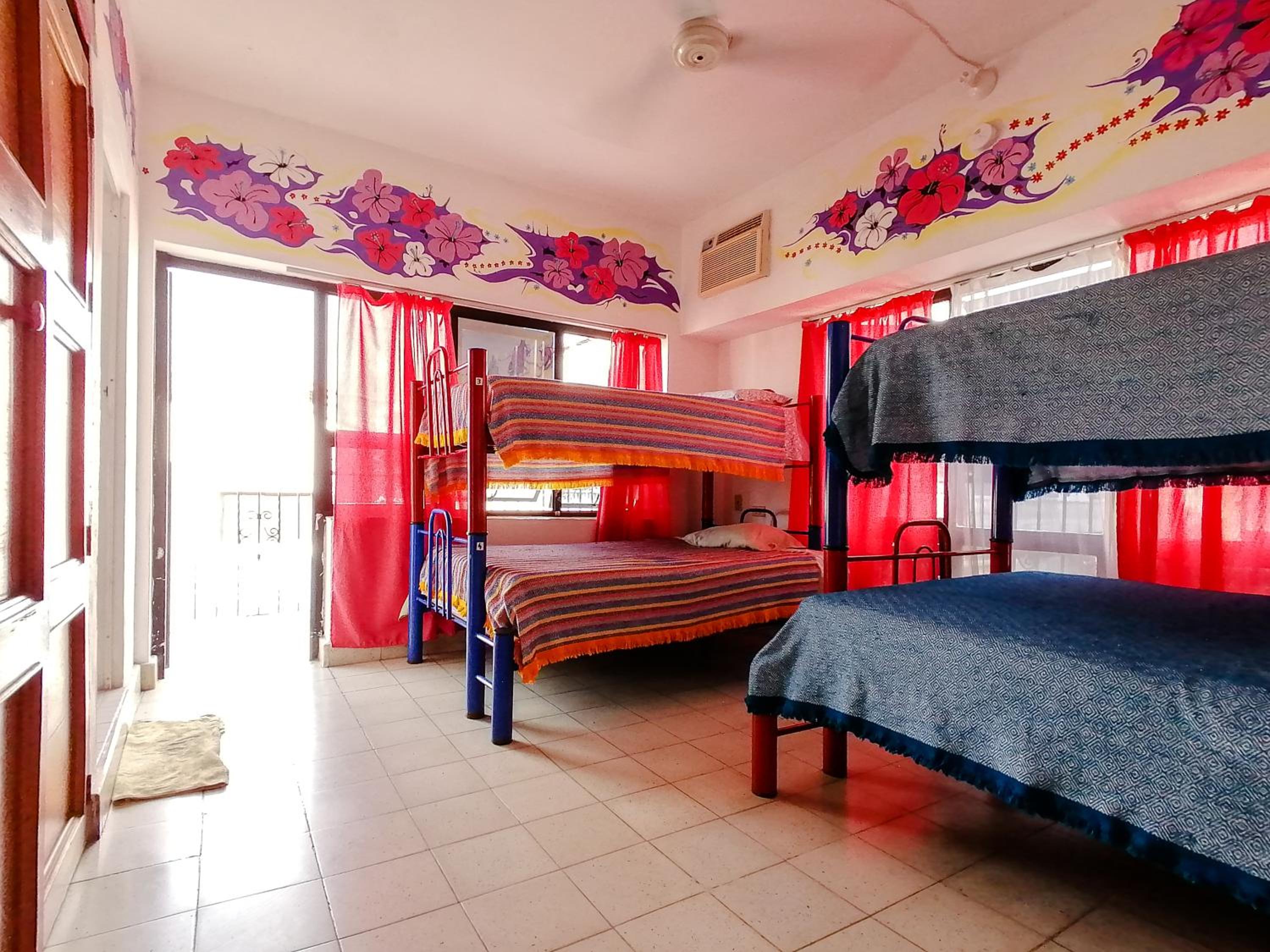 Bed in 4-Bed Female Dormitory Room photo 2