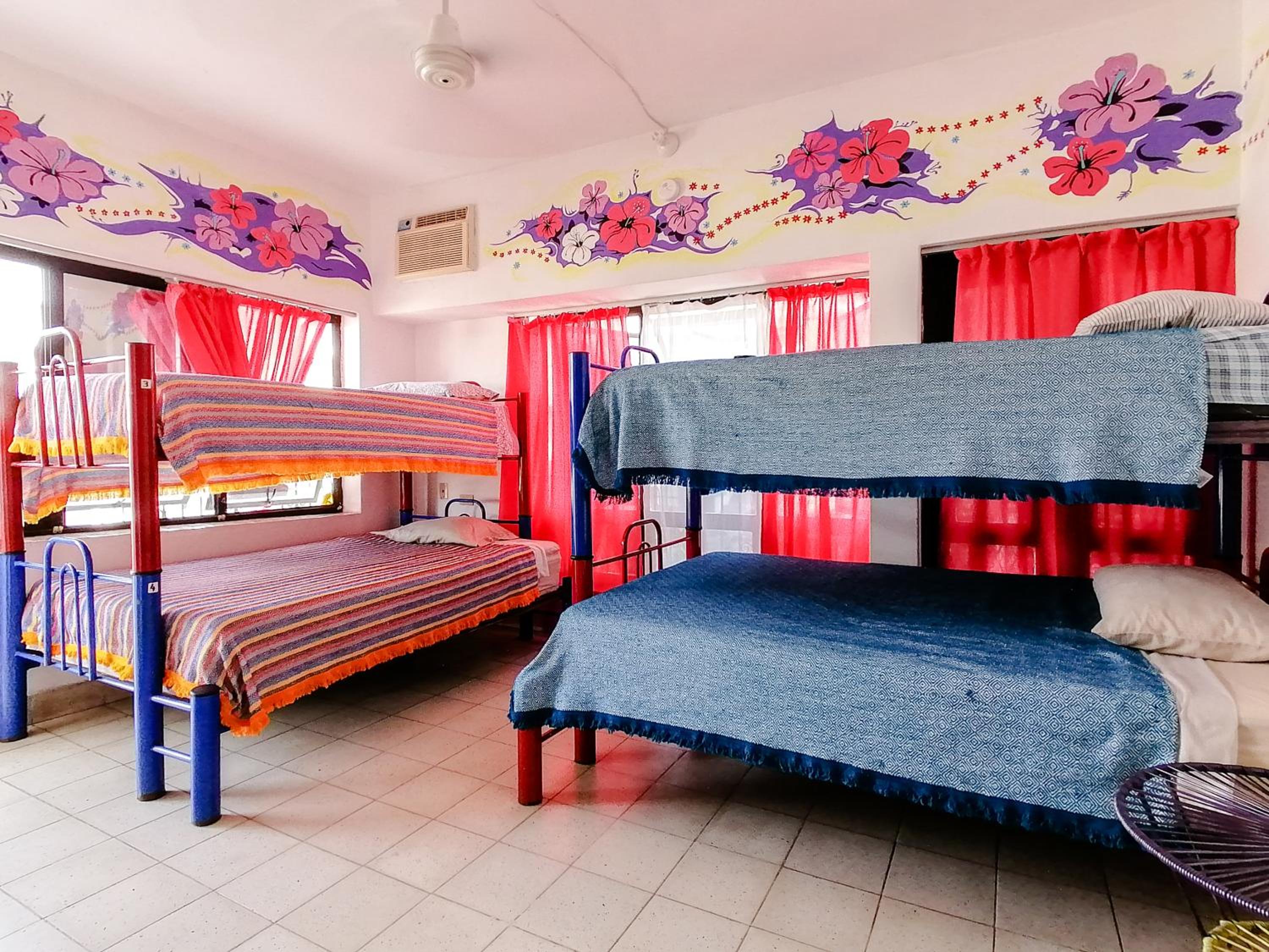 Bed in 4-Bed Female Dormitory Room