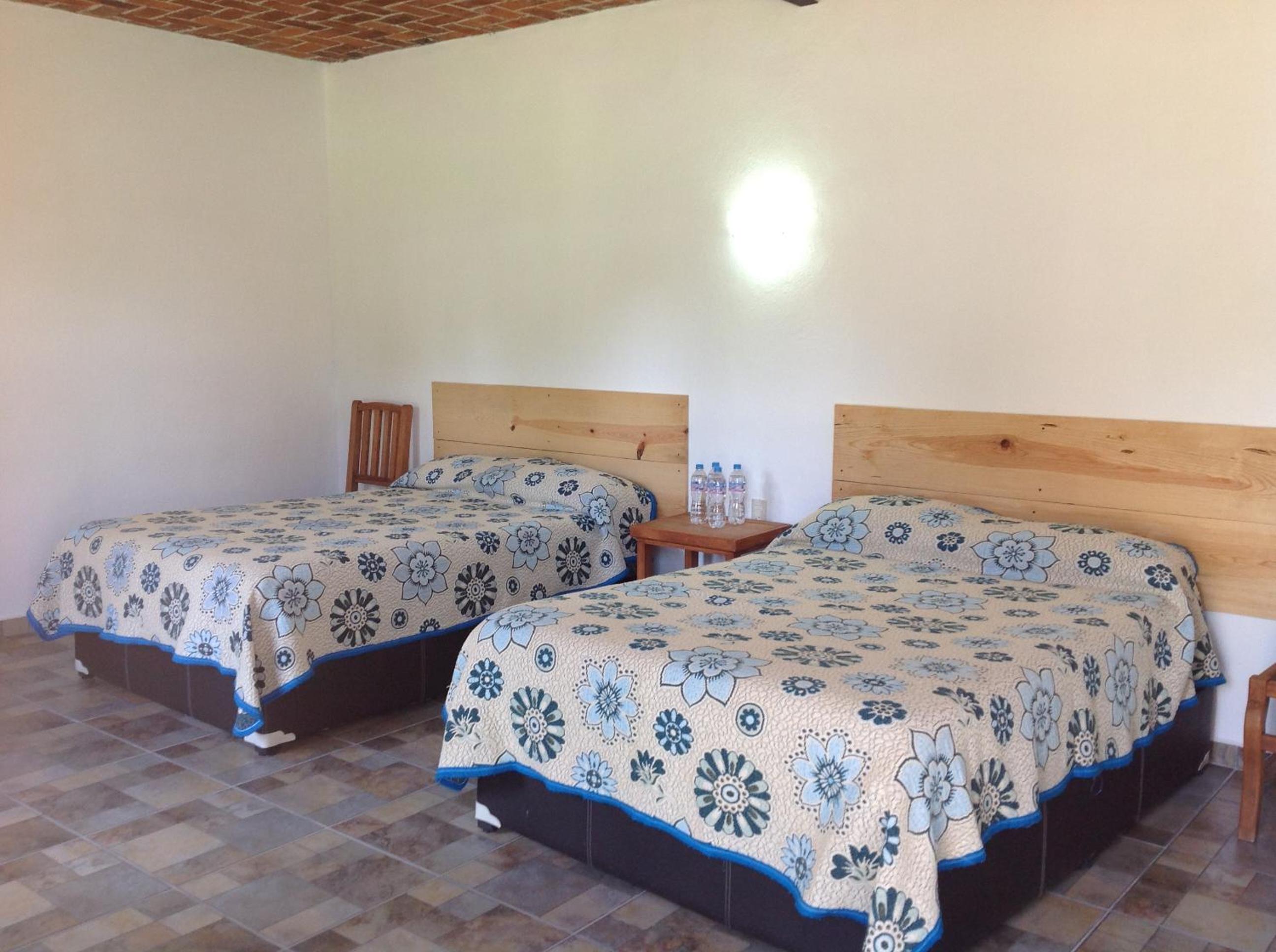 Twin Room photo 2