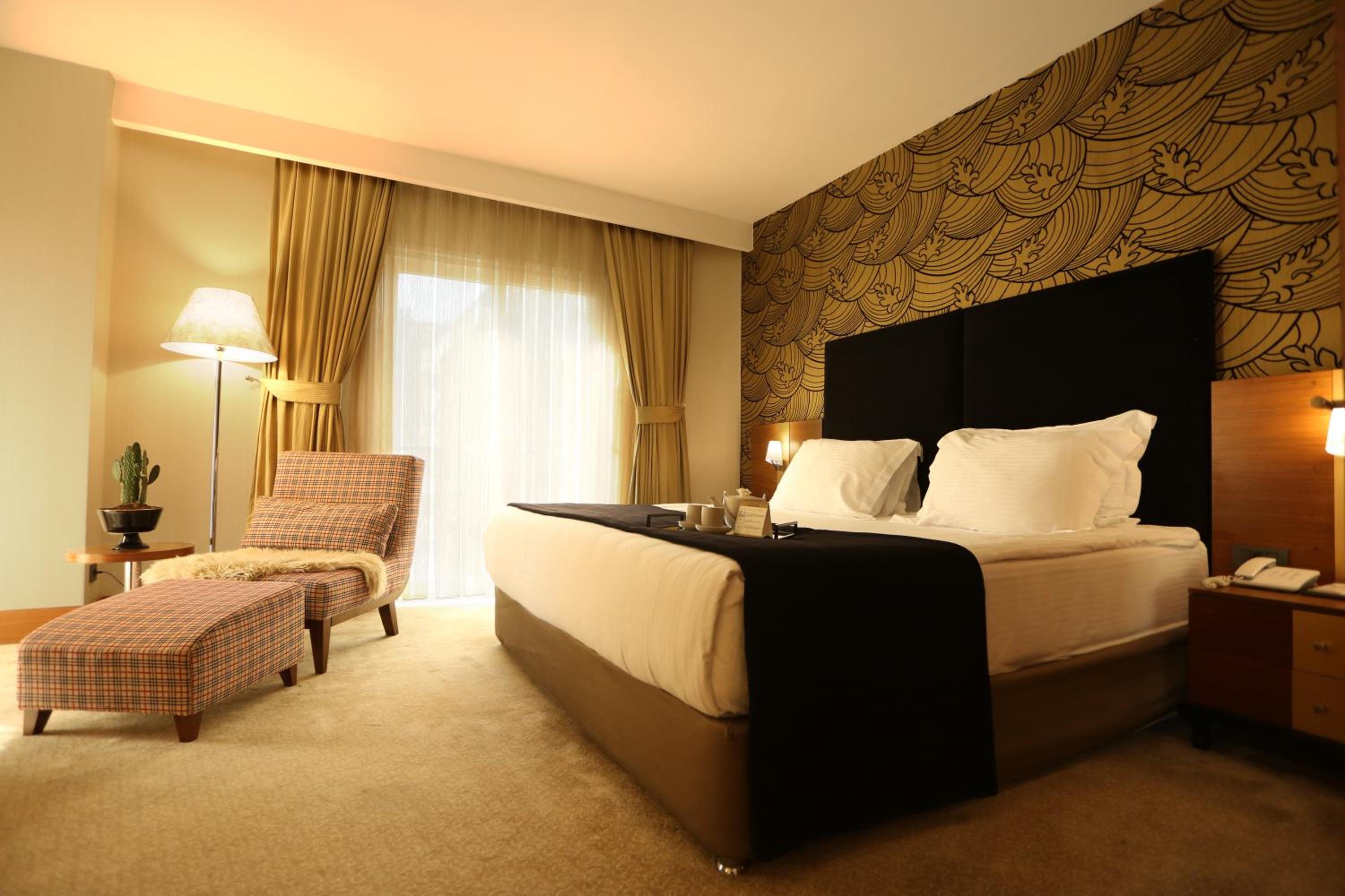 Suite - Photo 1