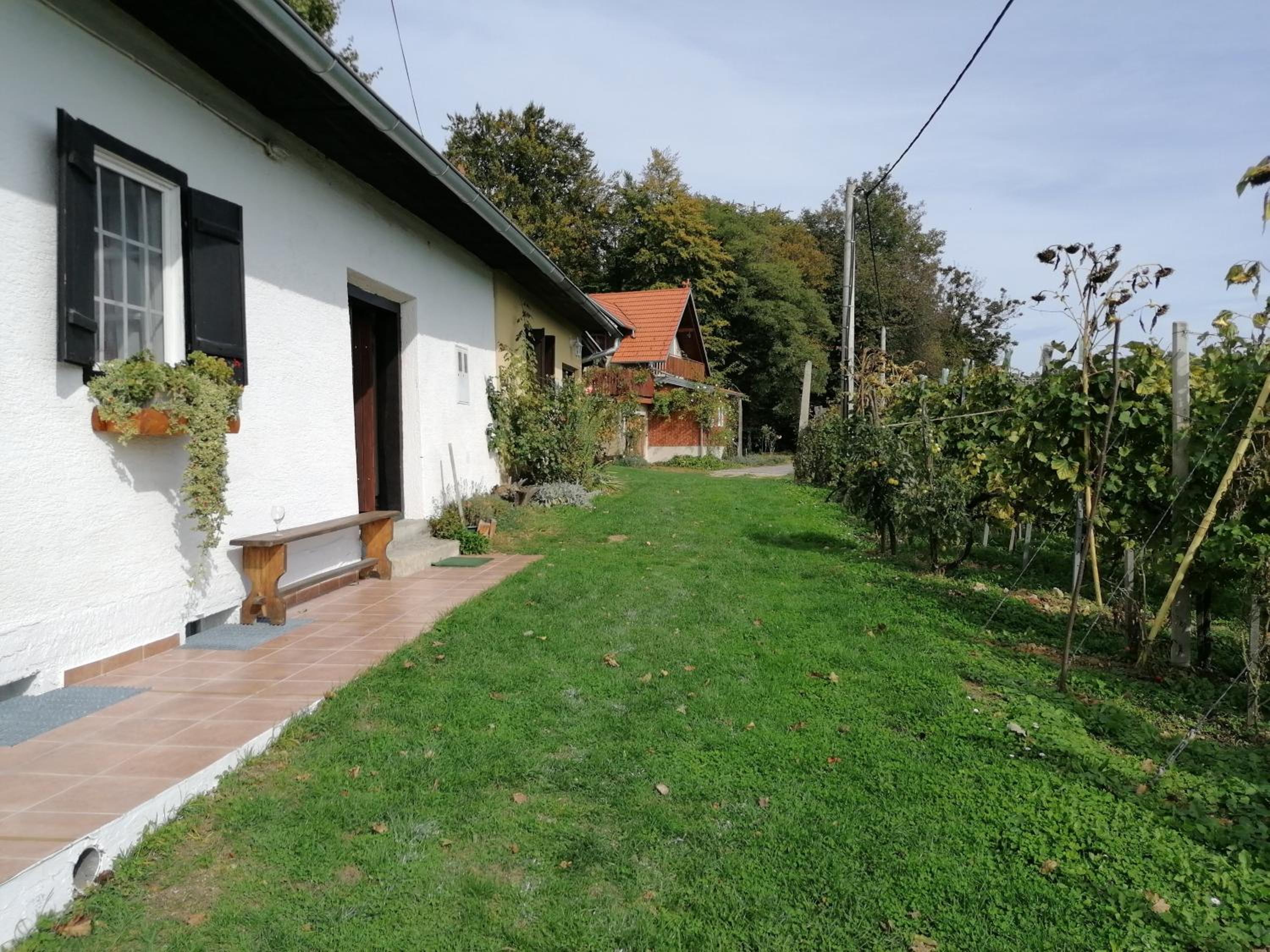 One-Bedroom House - Photo 15