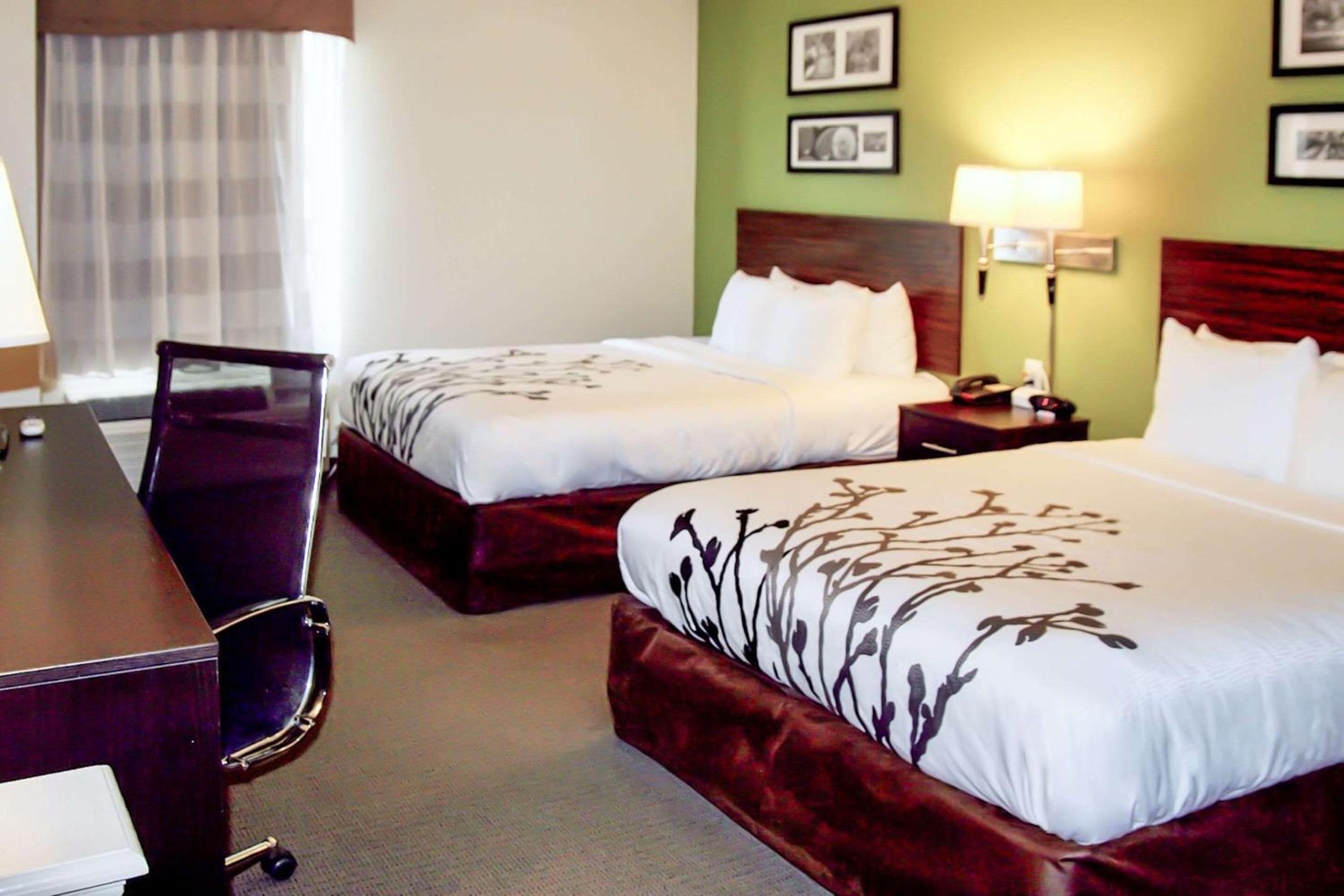 Queen Room with Two Queen Beds - Non-Smoking - Photo 2