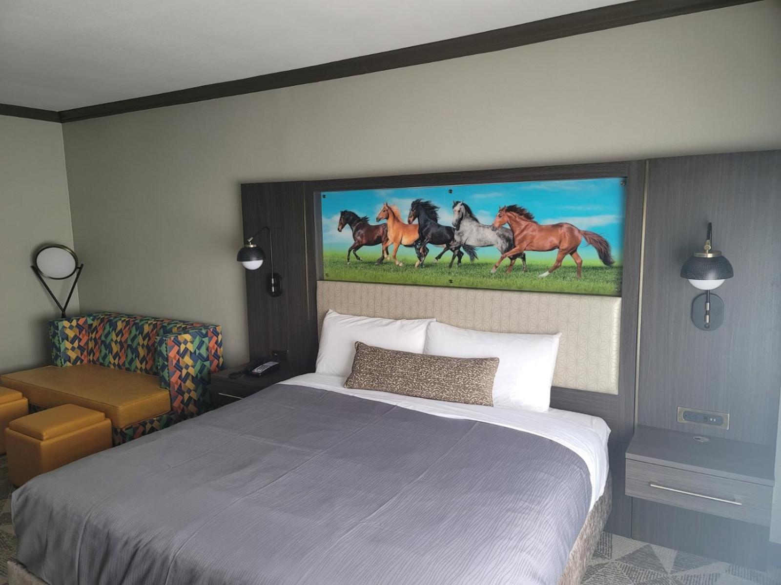 Premium King Suite - Photo 2