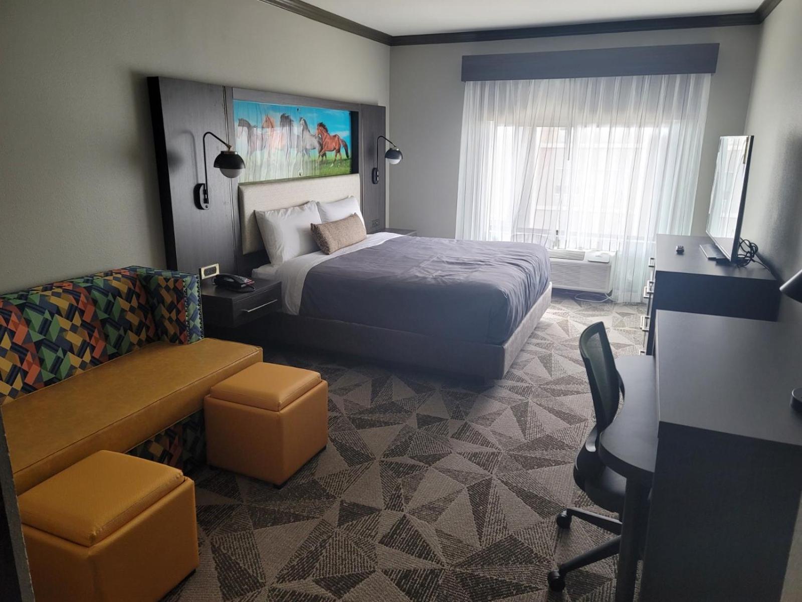 Premium King Suite - Photo 4