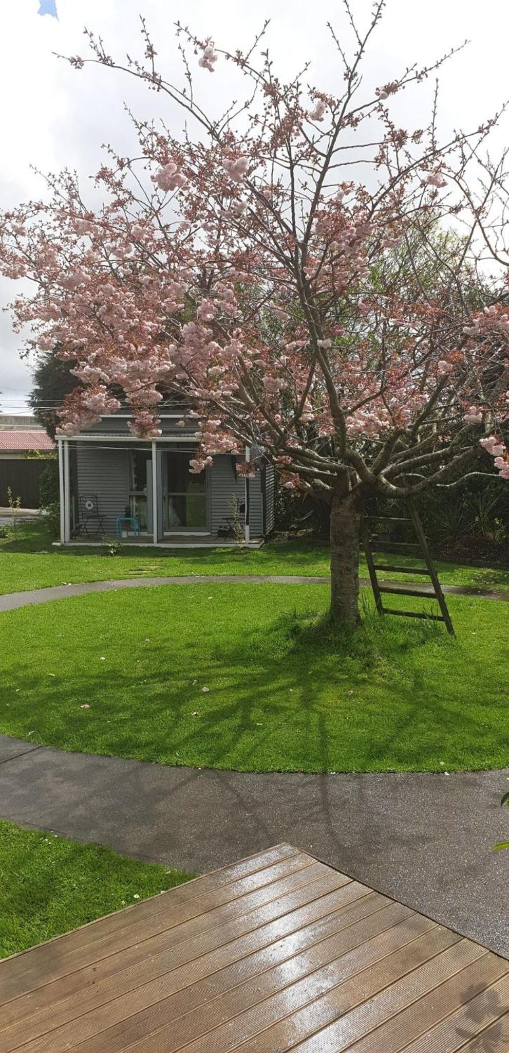 Double Room with Garden View photo 2