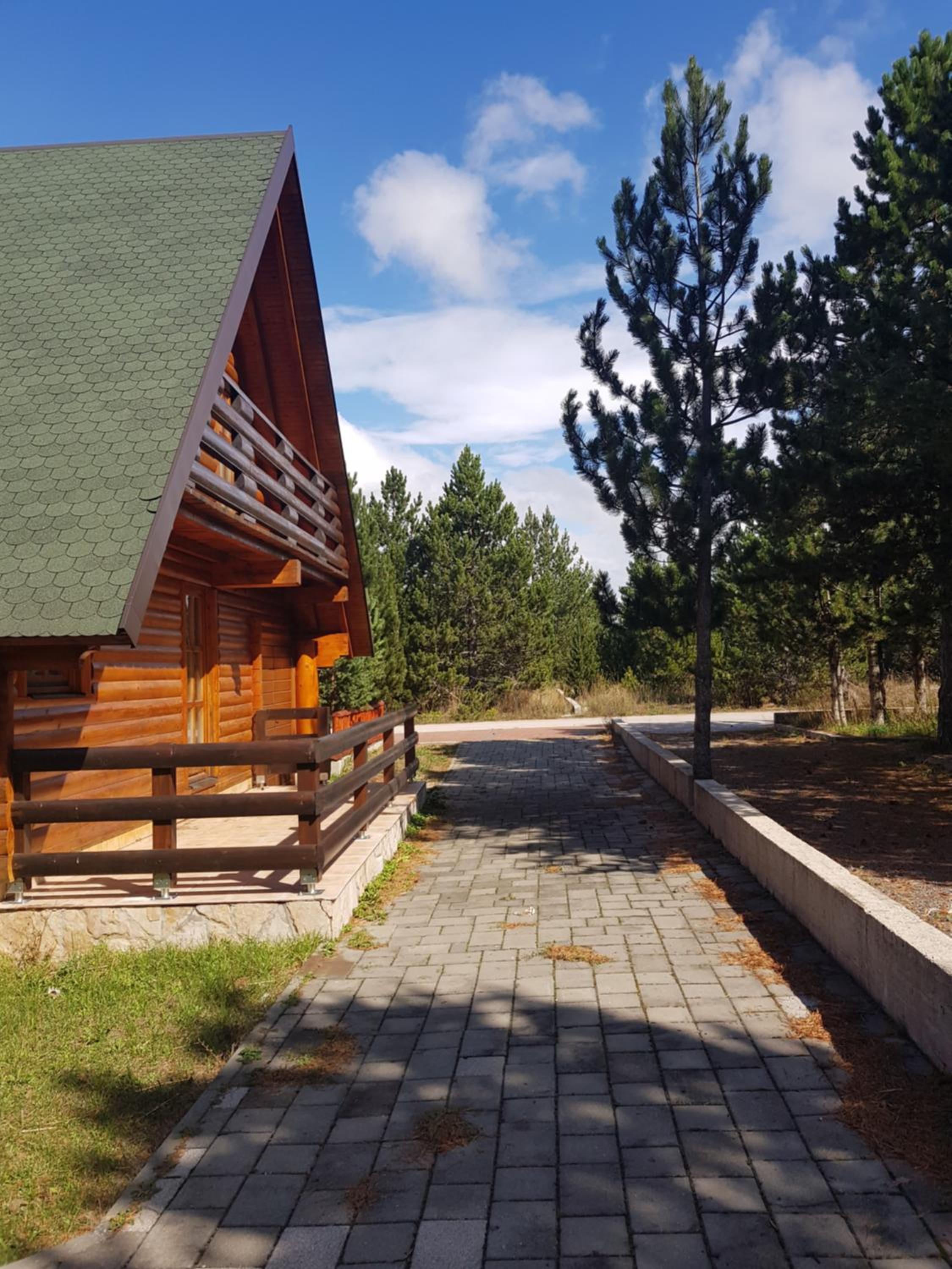 Three-Bedroom Chalet photo 3