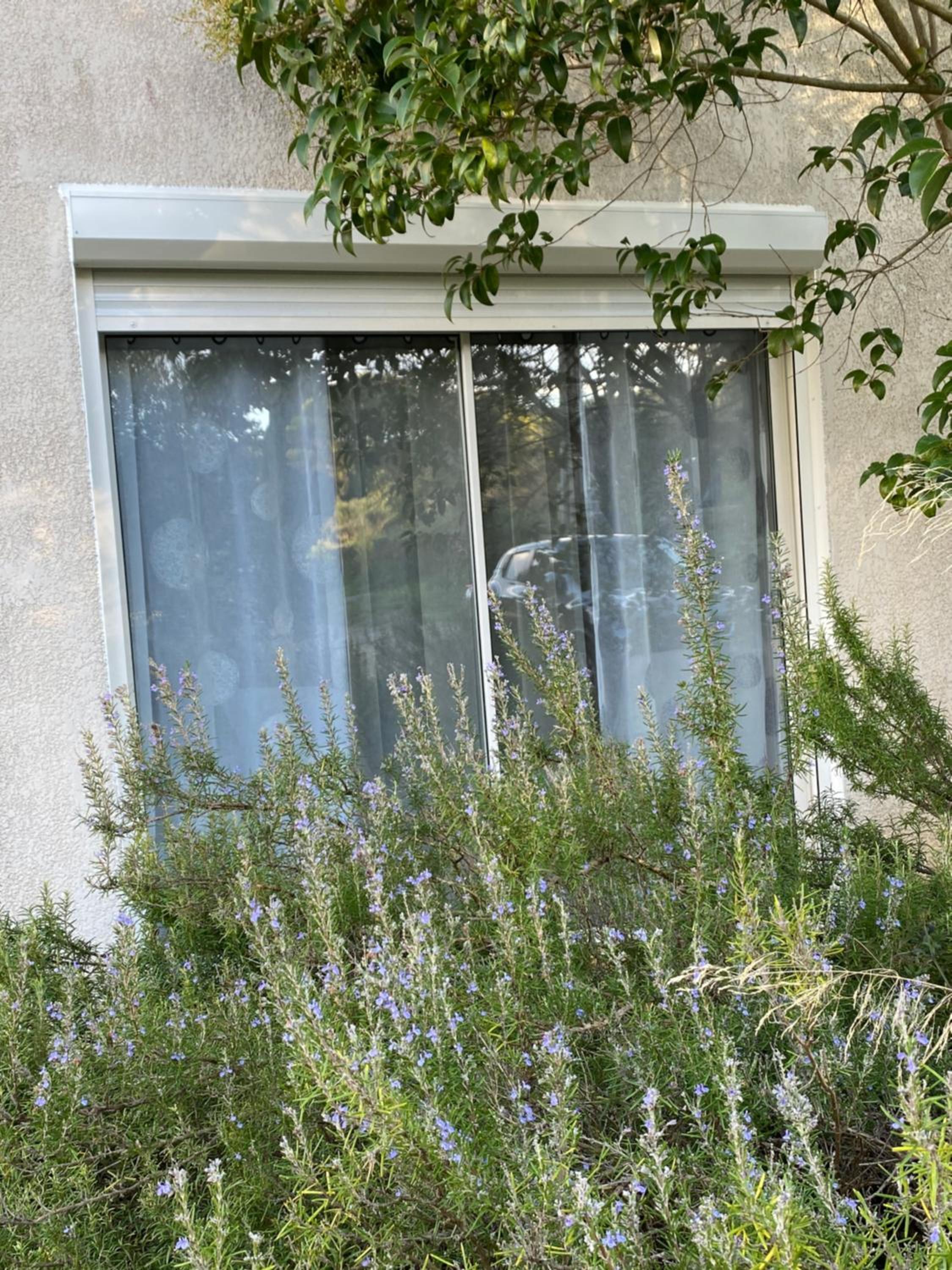 Double Room with Garden View - Photo 1