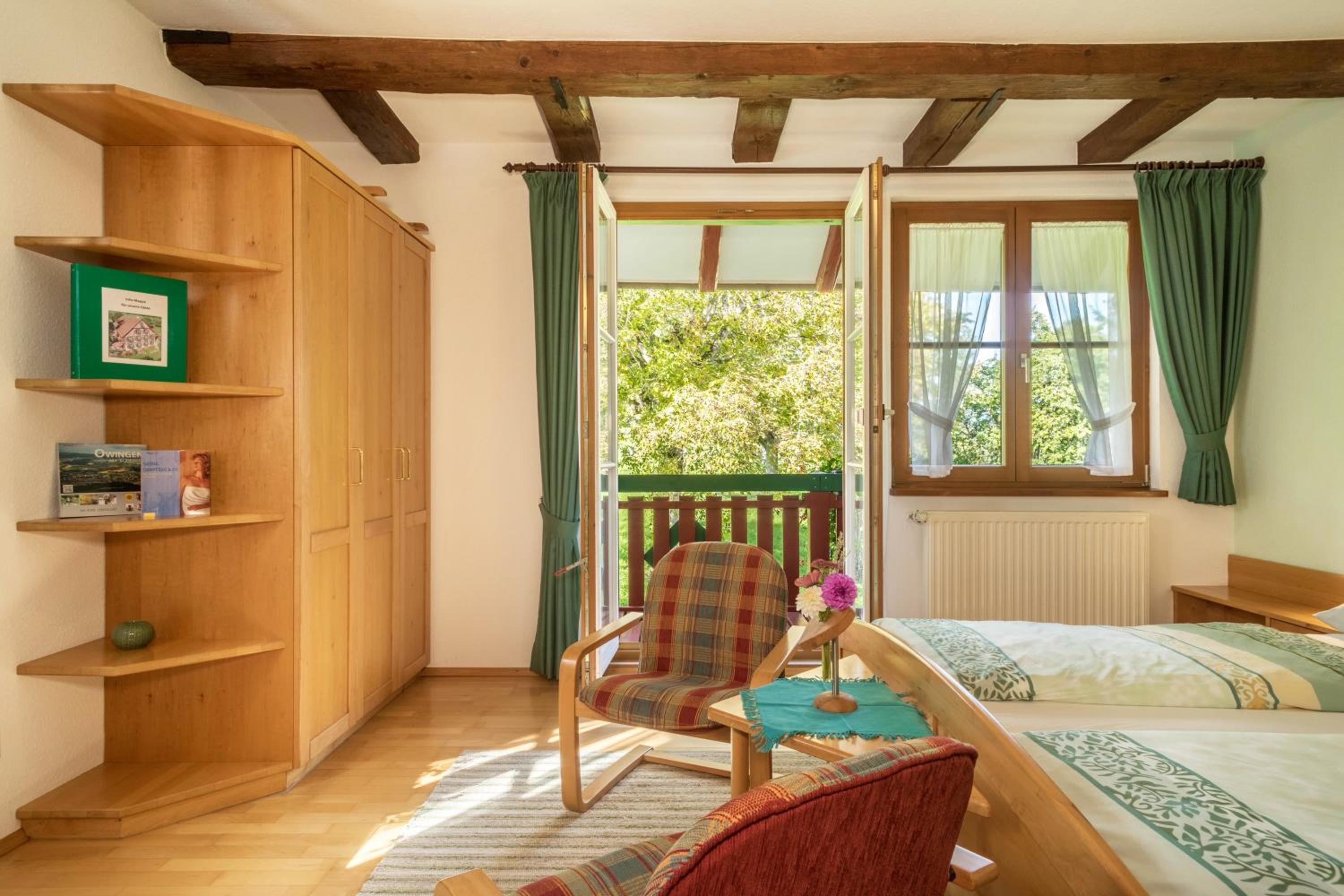Superior One-Bedroom Apartment with Balcony