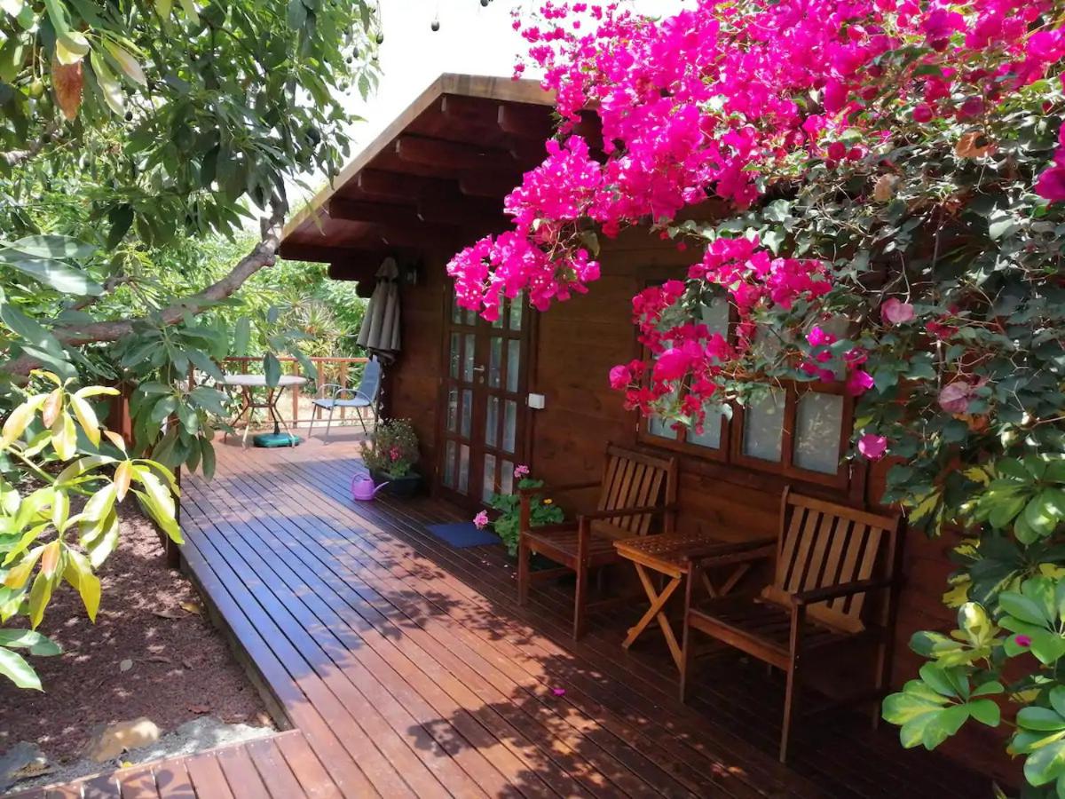 Holiday Home photo 1