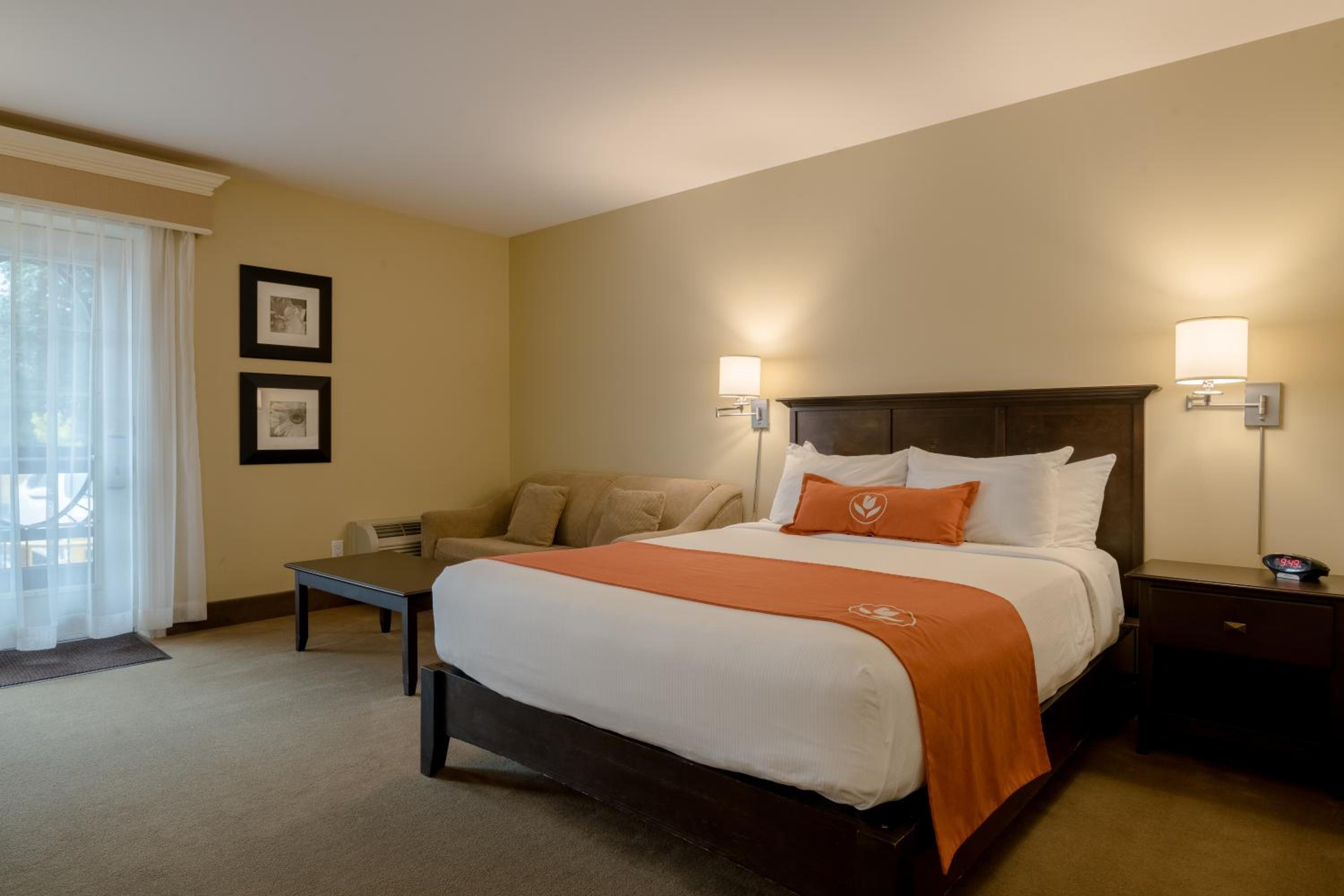 Standard Queen Room photo 1
