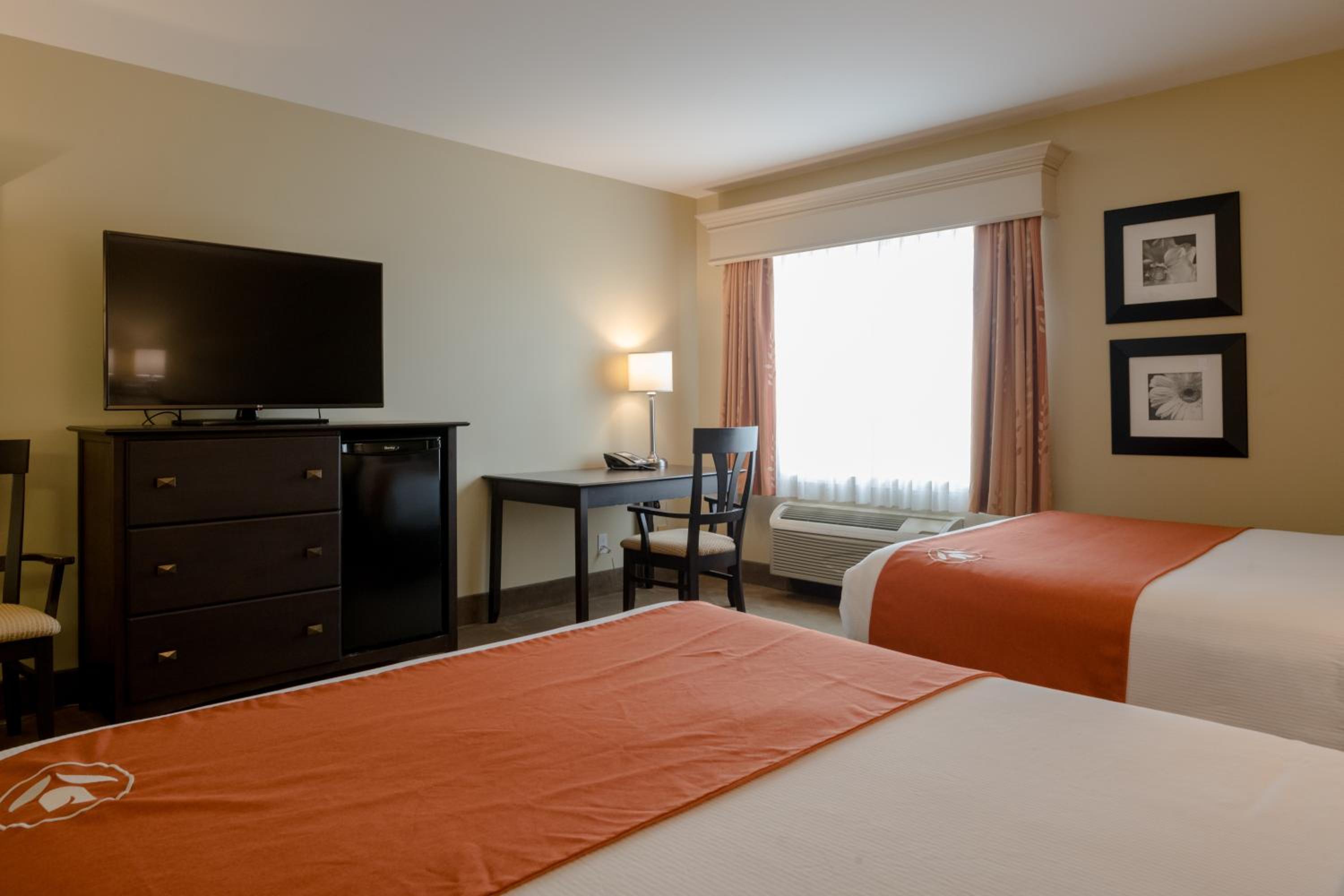Standard Queen Room with Two Queen Beds photo 1