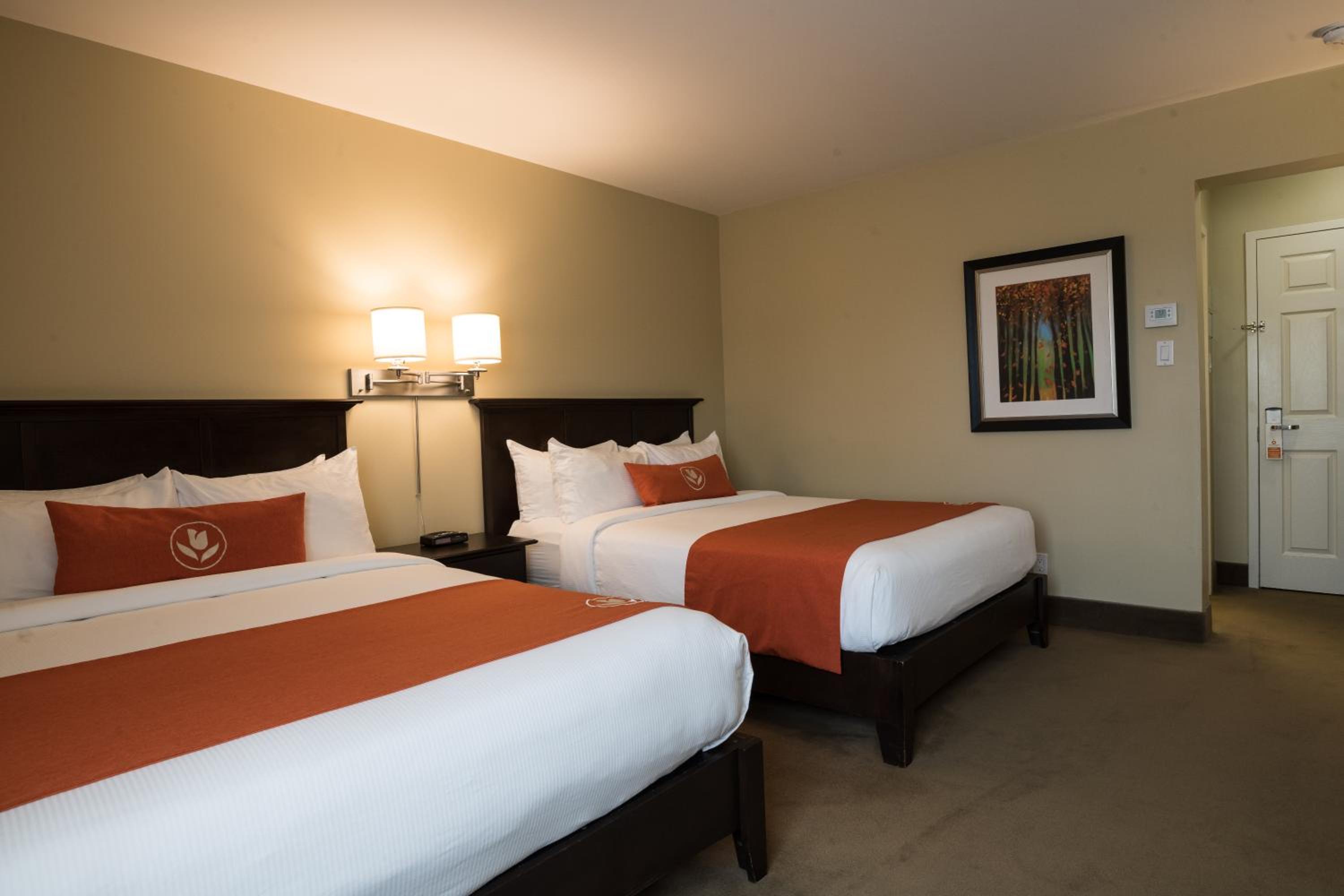 Standard Queen Room with Two Queen Beds photo 2