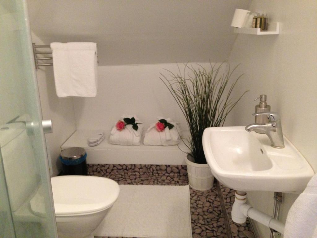 Suite - Photo 3