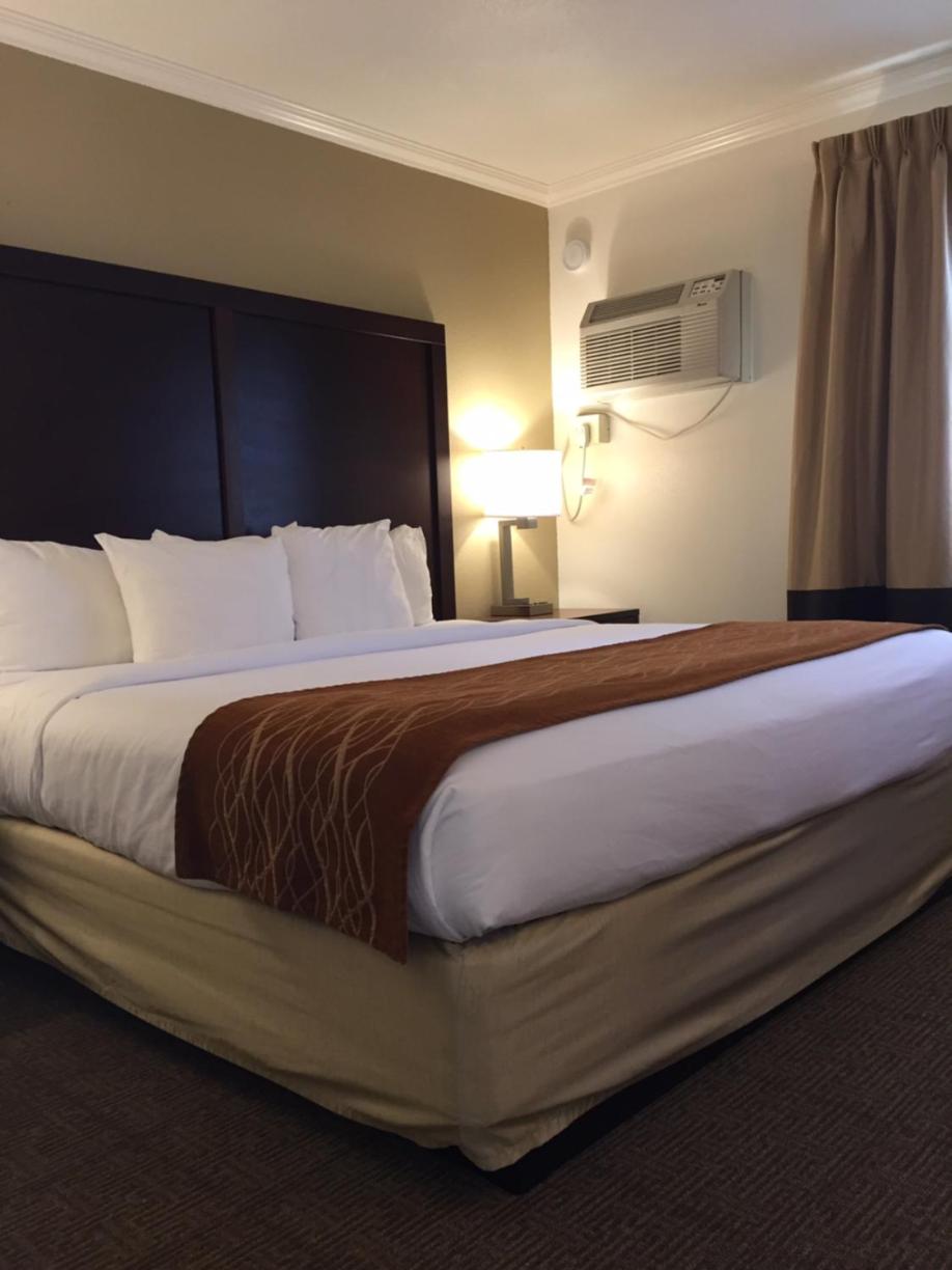King Room with Hot Tub - Non-Smoking - Photo 6