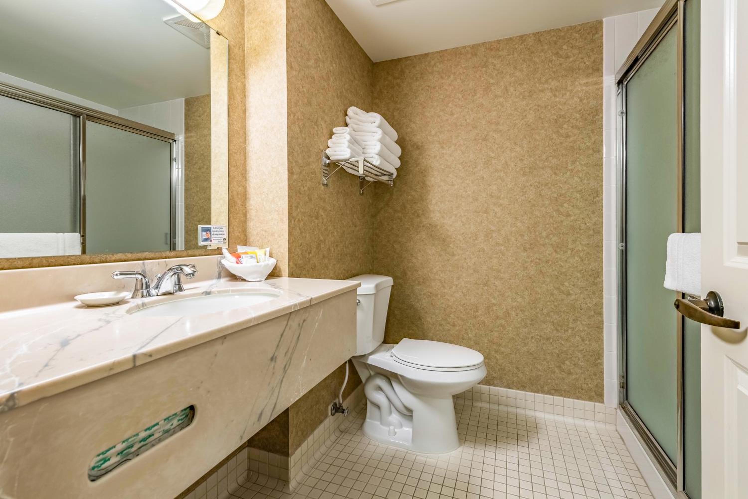 King Suite with Fireplace - Photo 5