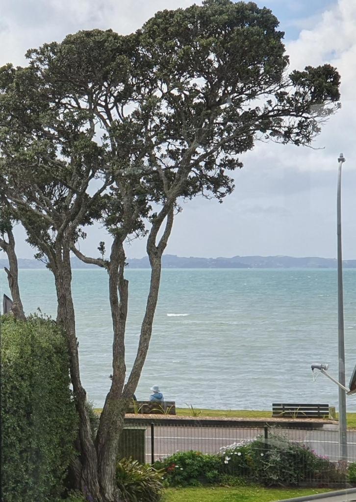 Apartment with Sea View - Photo 5
