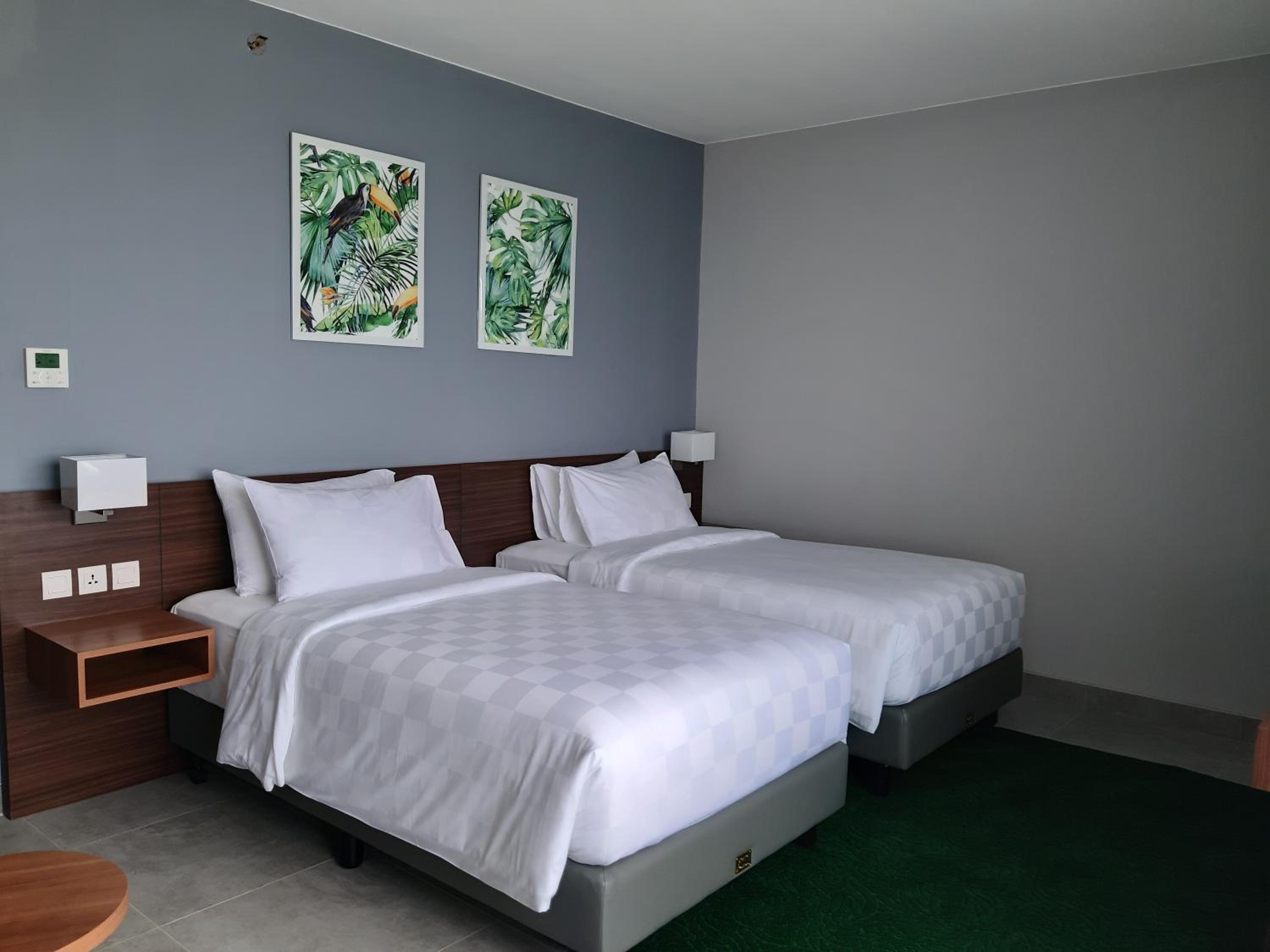 Superior Deluxe Twin Room - Photo 2