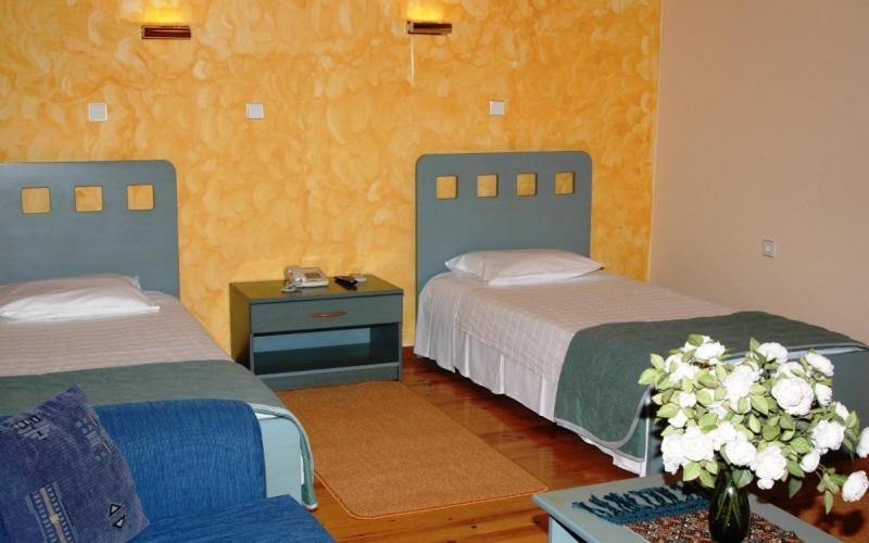 Double or Twin Room photo 1