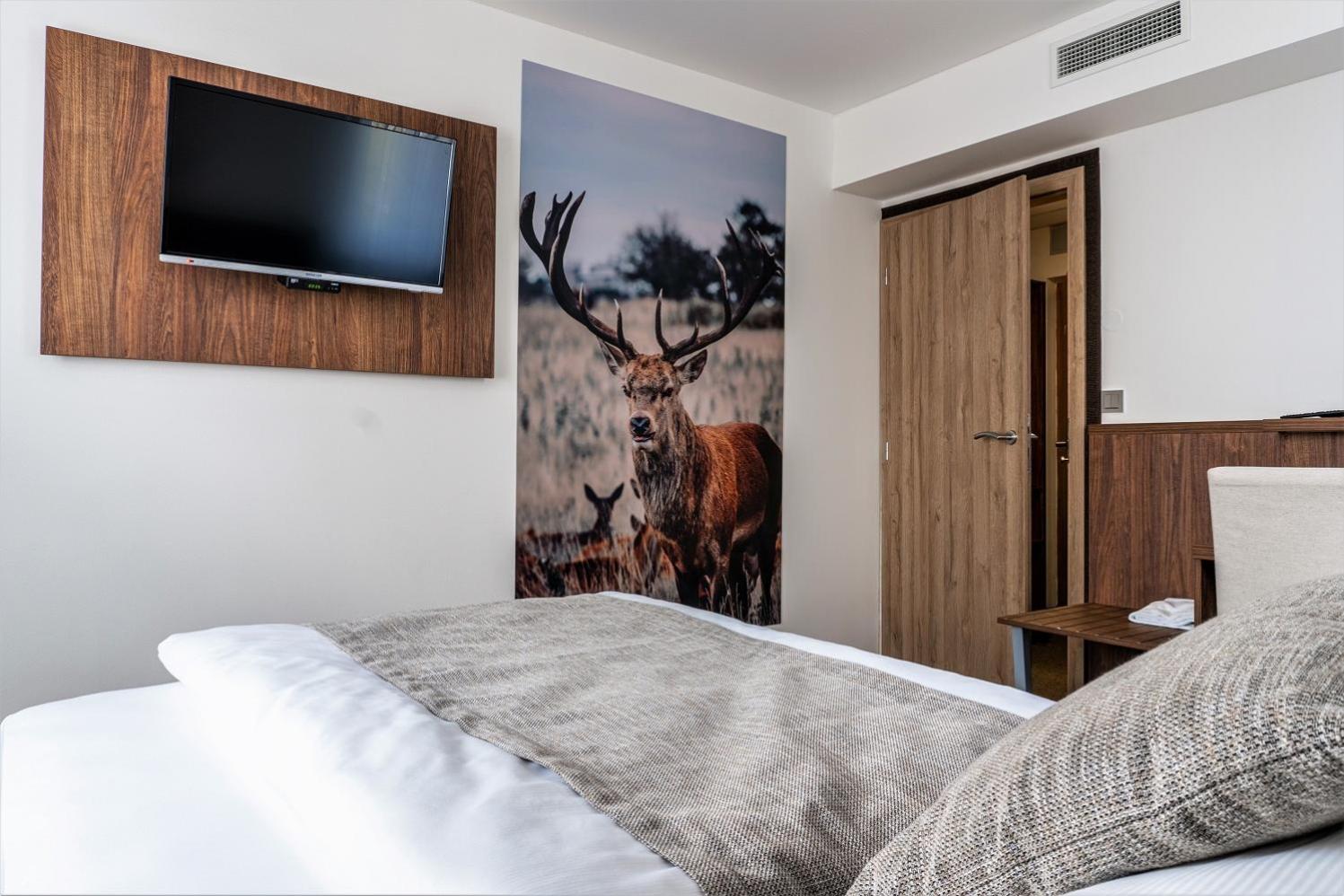 Plus Single Room photo 1