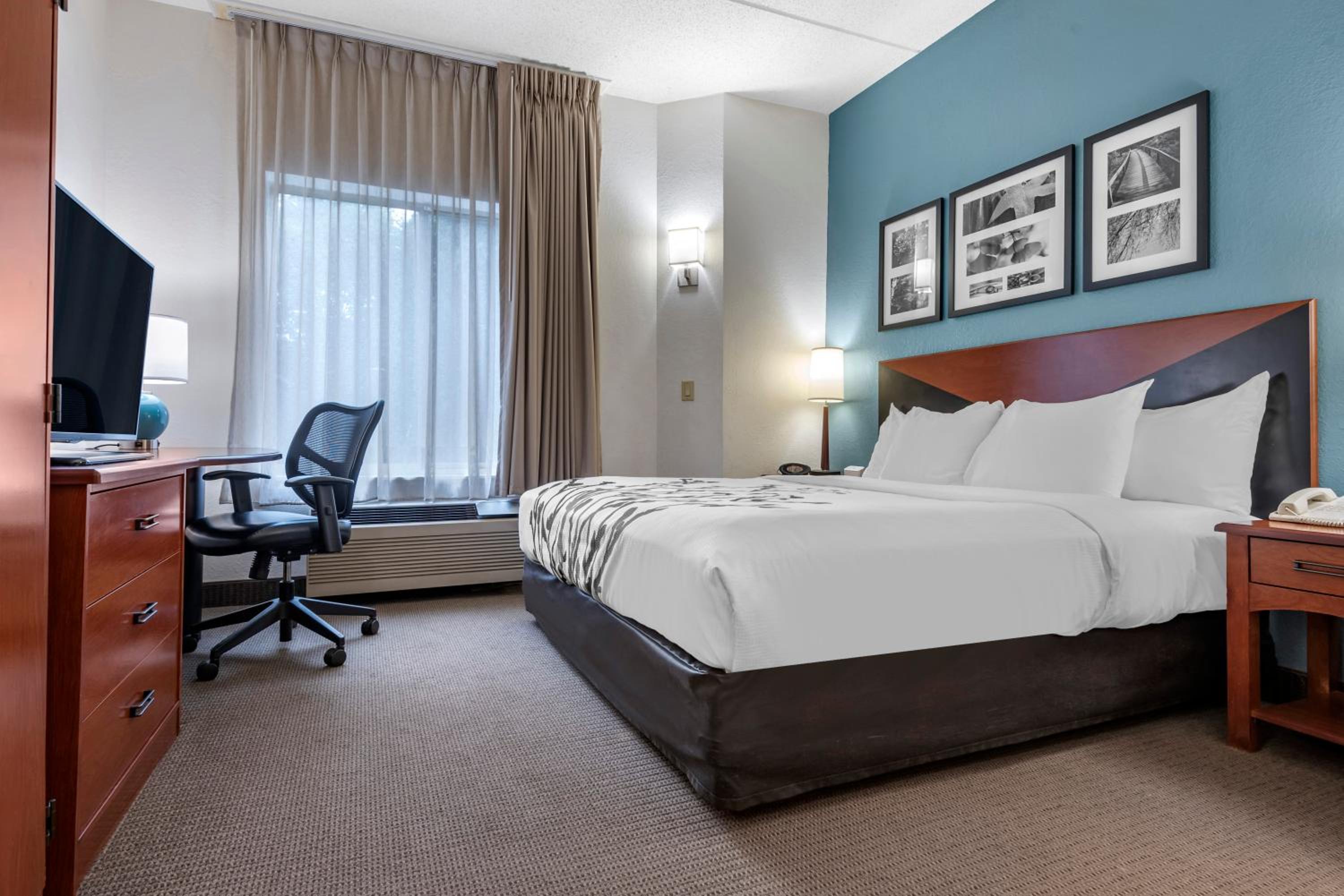 King Room - Non-Smoking - Photo 3