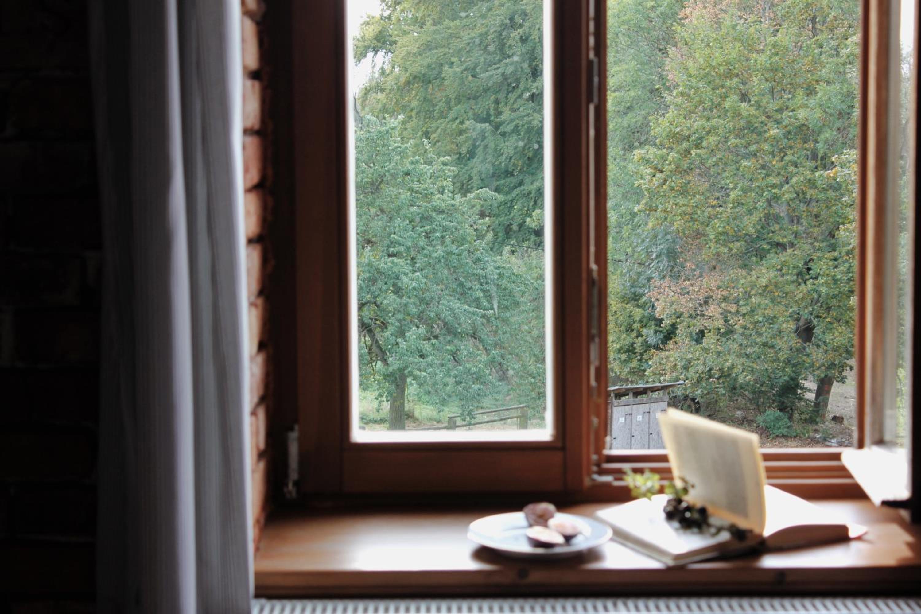 Double Room with Garden View photo 2