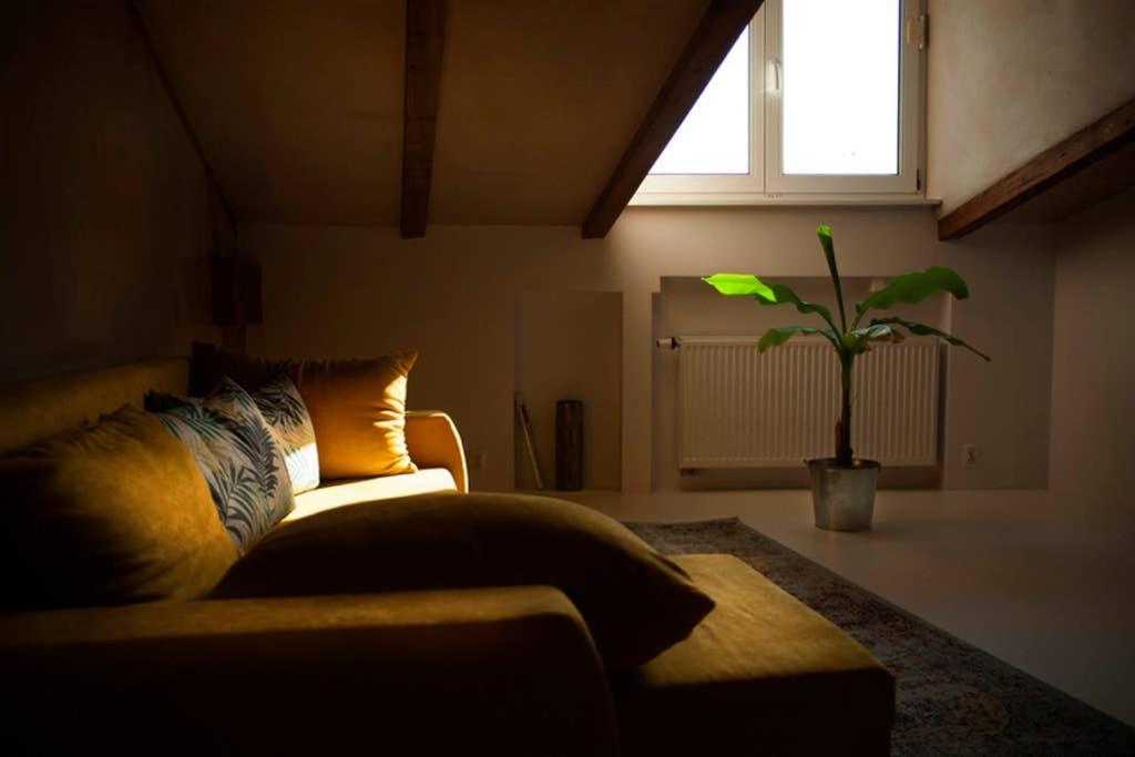 Three-Bedroom Apartment - Photo 7
