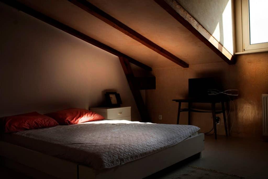 Three-Bedroom Apartment - Photo 12