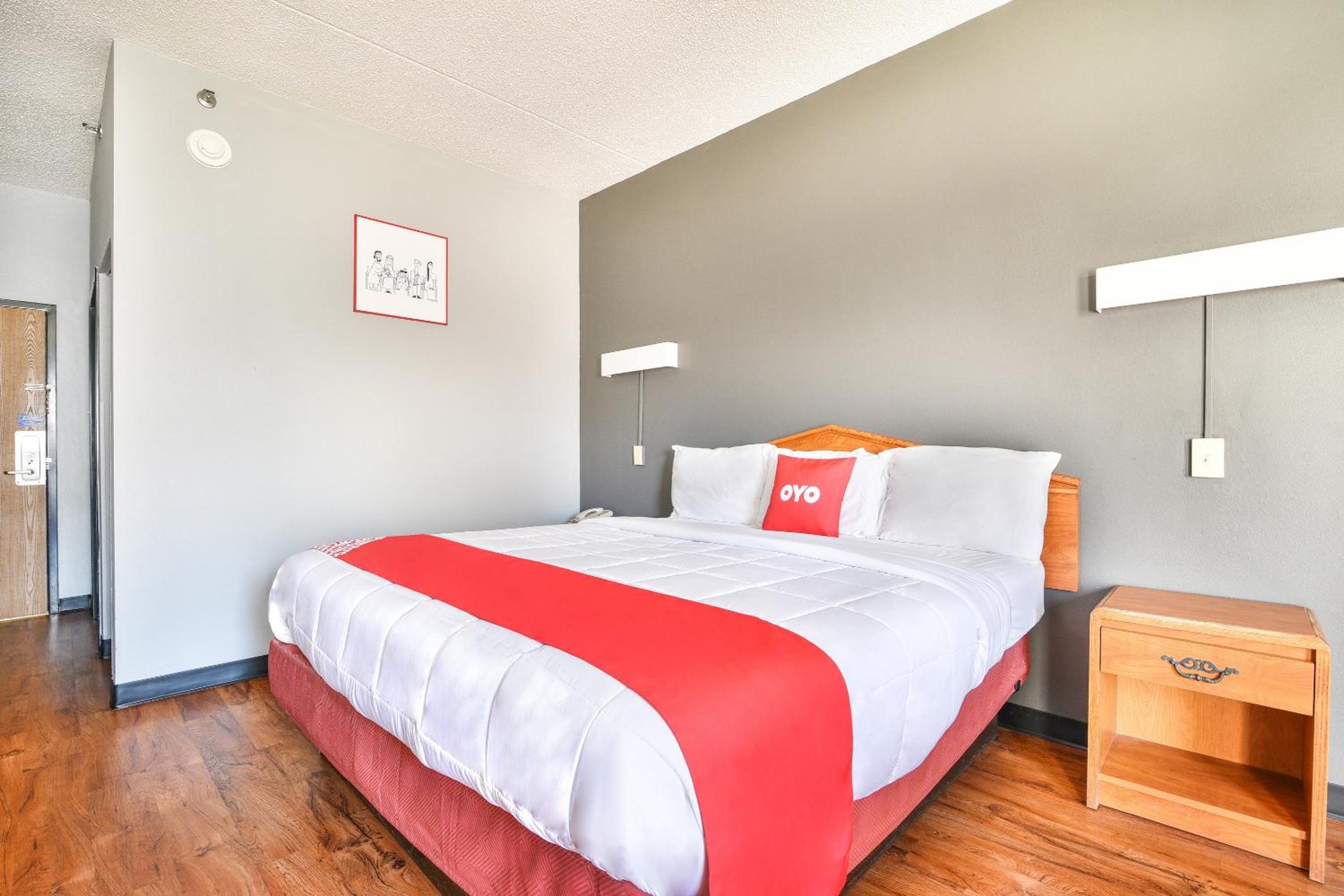 King Room photo 1