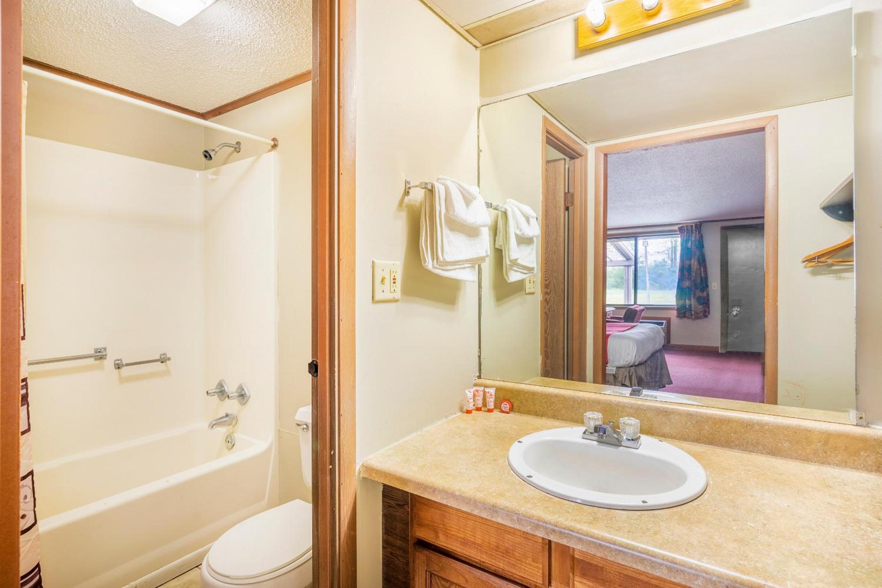 One-Bedroom Suite - Photo 5
