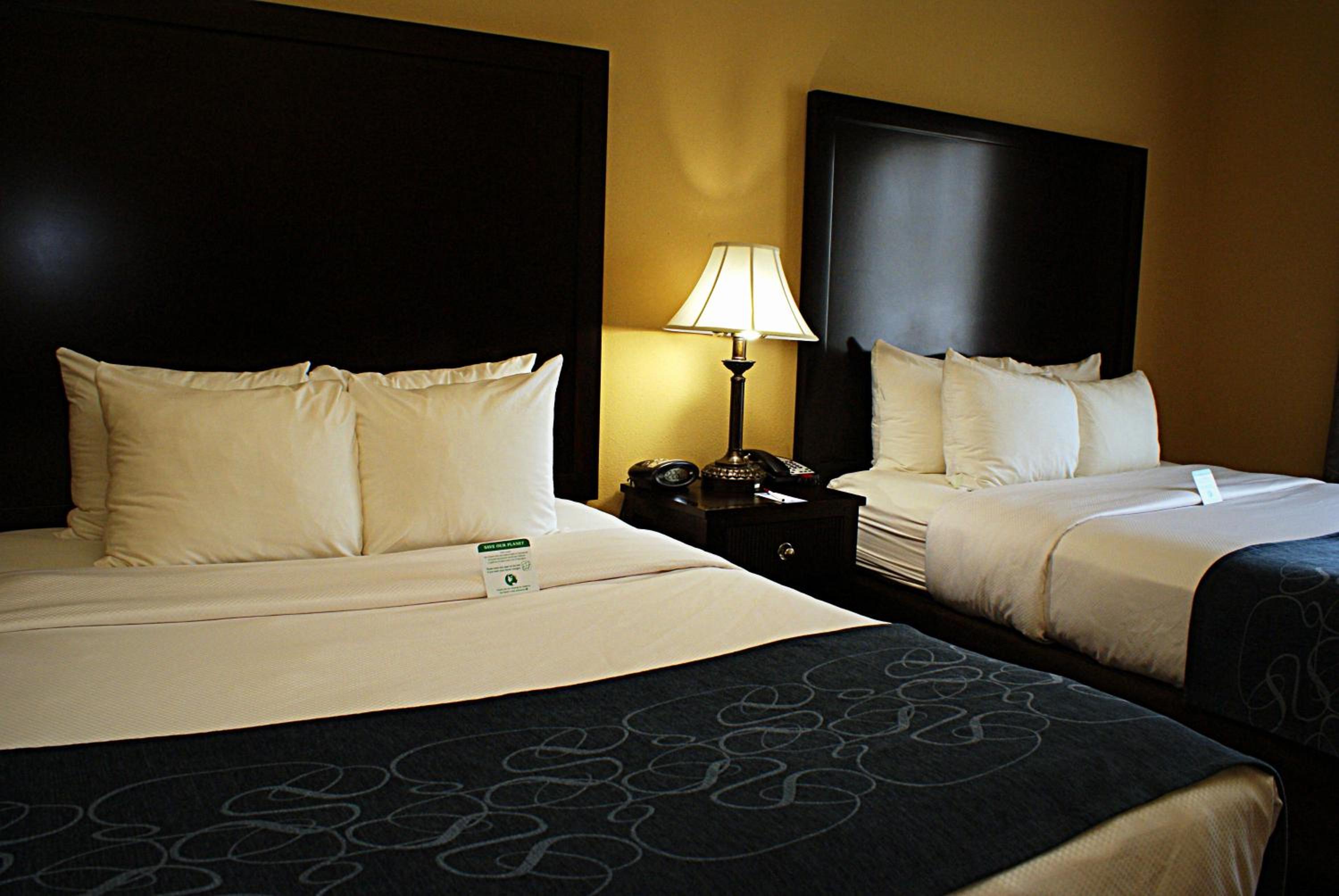 Queen Suite with Two Queen Beds - Non-Smoking - Photo 4