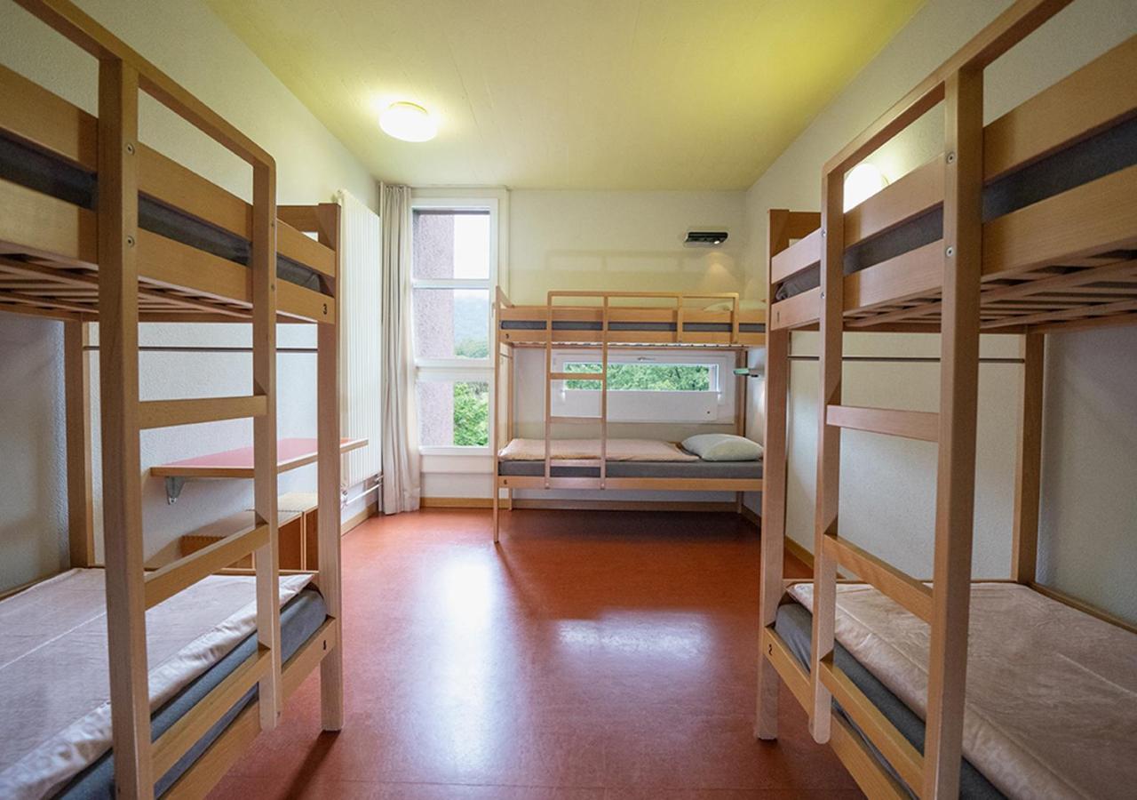 2 Beds In 6-Bed Mixed Dormitory Room
