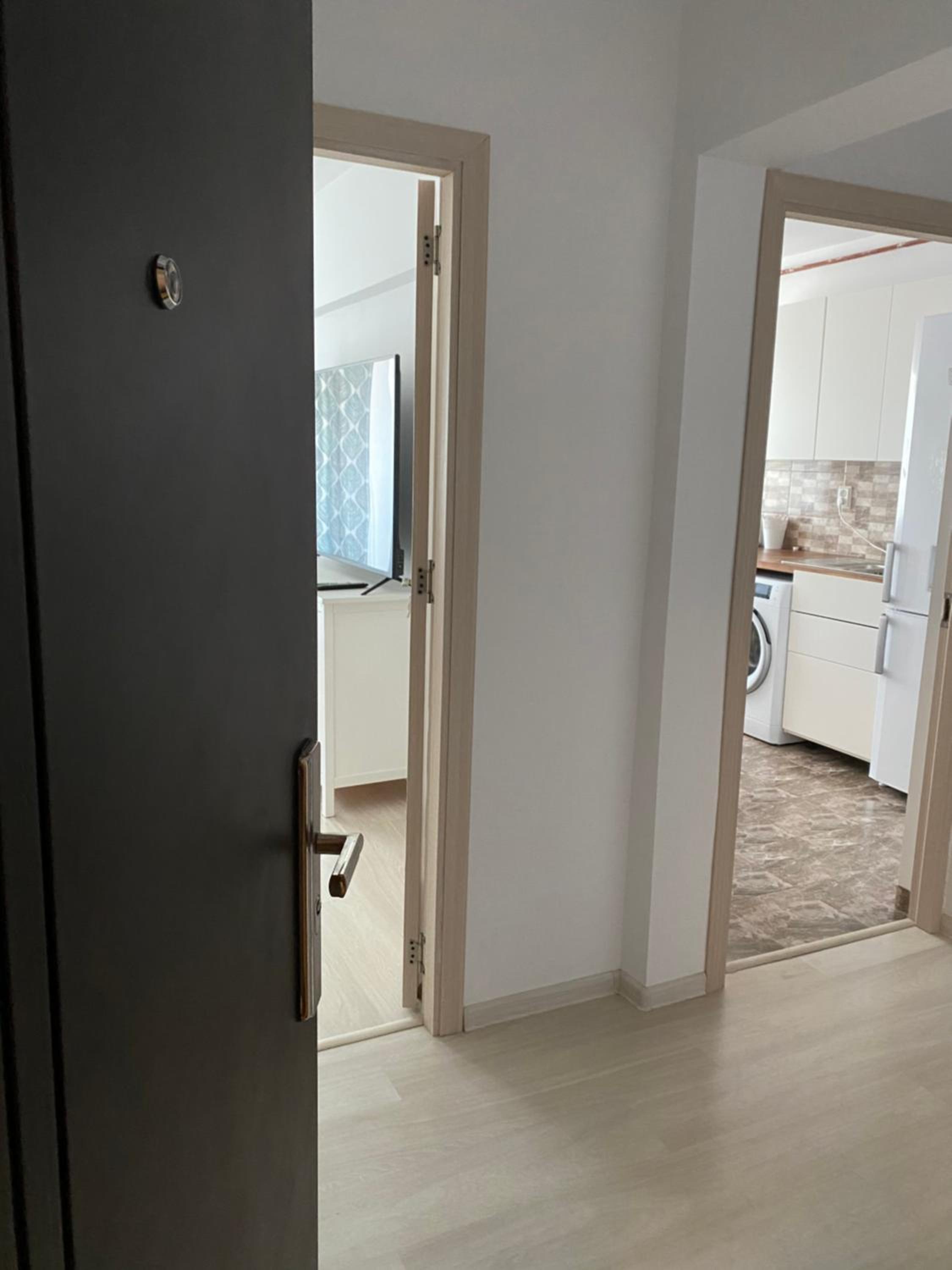 One-Bedroom Apartment photo 2