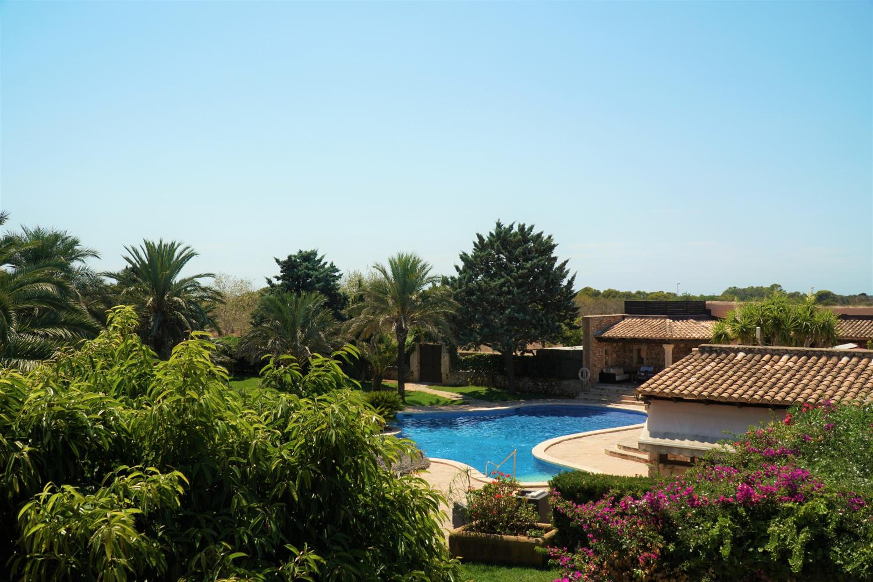 Double Room with Terrace photo 3