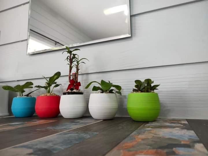 Family Room with Terrace - Photo 8
