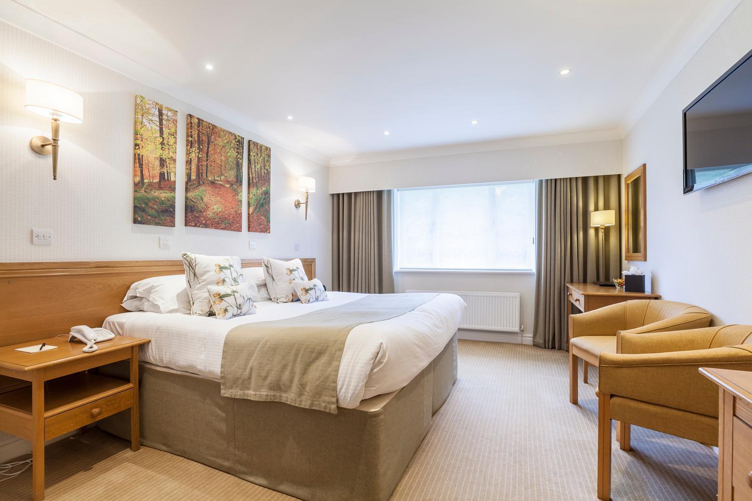 Double or Twin Room photo 3
