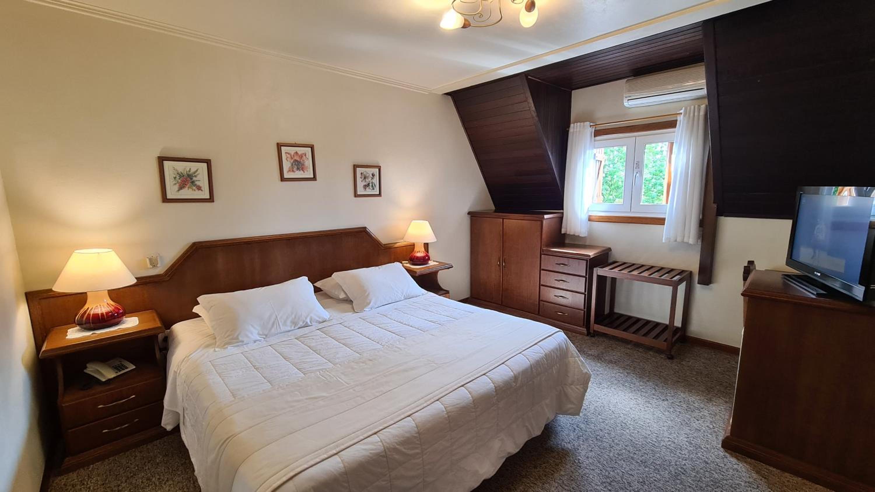 Deluxe Double or Twin Room
